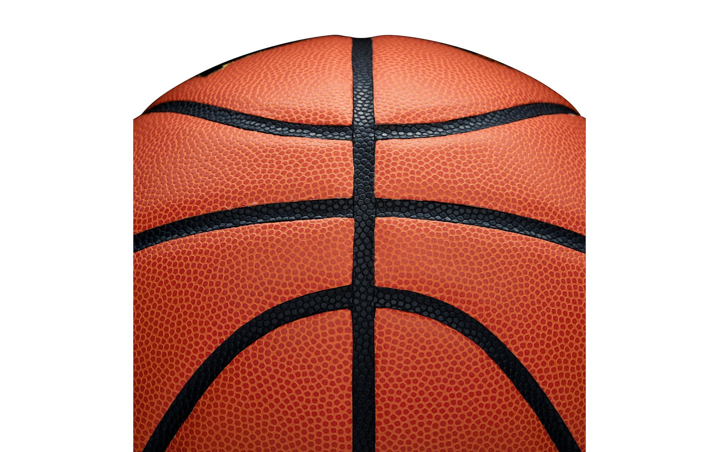 Wilson Basketball »Evolution Game Ball«