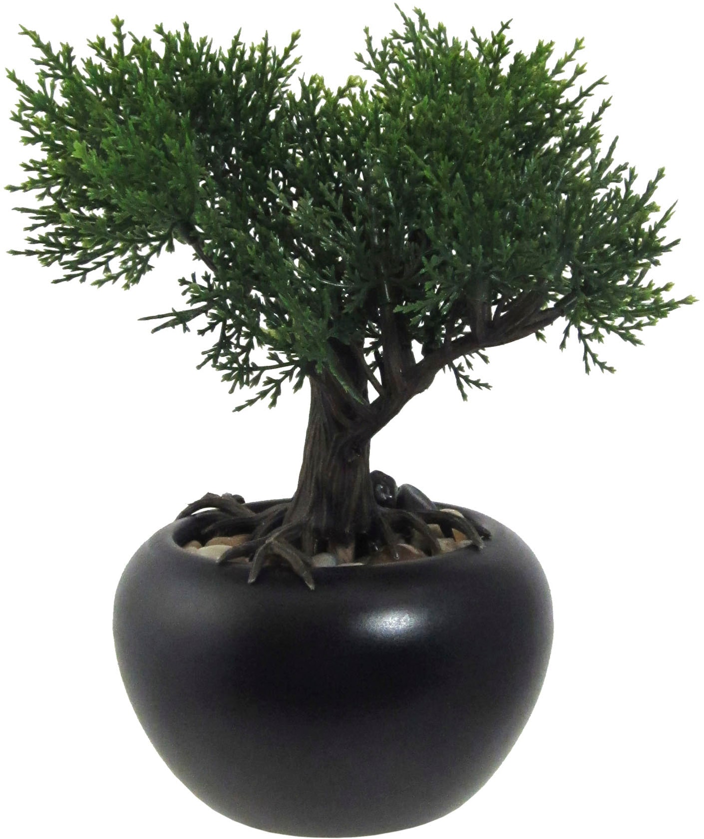 Creativ green Kunstbonsai »Bonsai Kiefer und Zeder« mit Kies