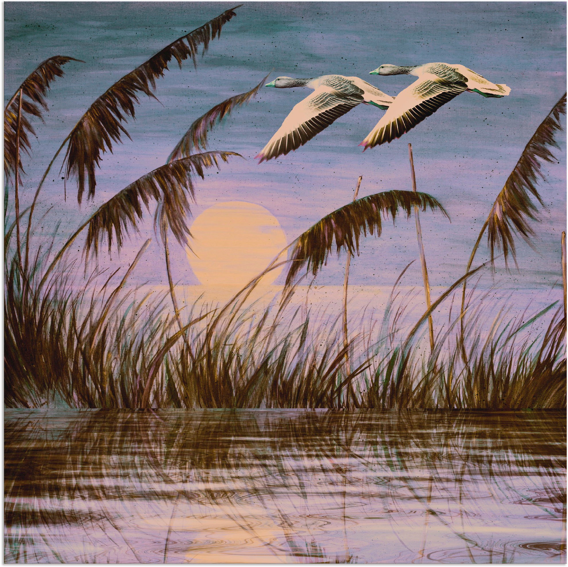 Image of Artland Wandbild »Wildgänse in der Abendsonne«, Vögel, (1 St.), in vielen Grössen & Produktarten - Alubild / Outdoorbild für den Aussenbereich, Leinwandbild, Poster, Wandaufkleber / Wandtattoo auch für Badezimmer geeignet bei Ackermann Versand Schweiz