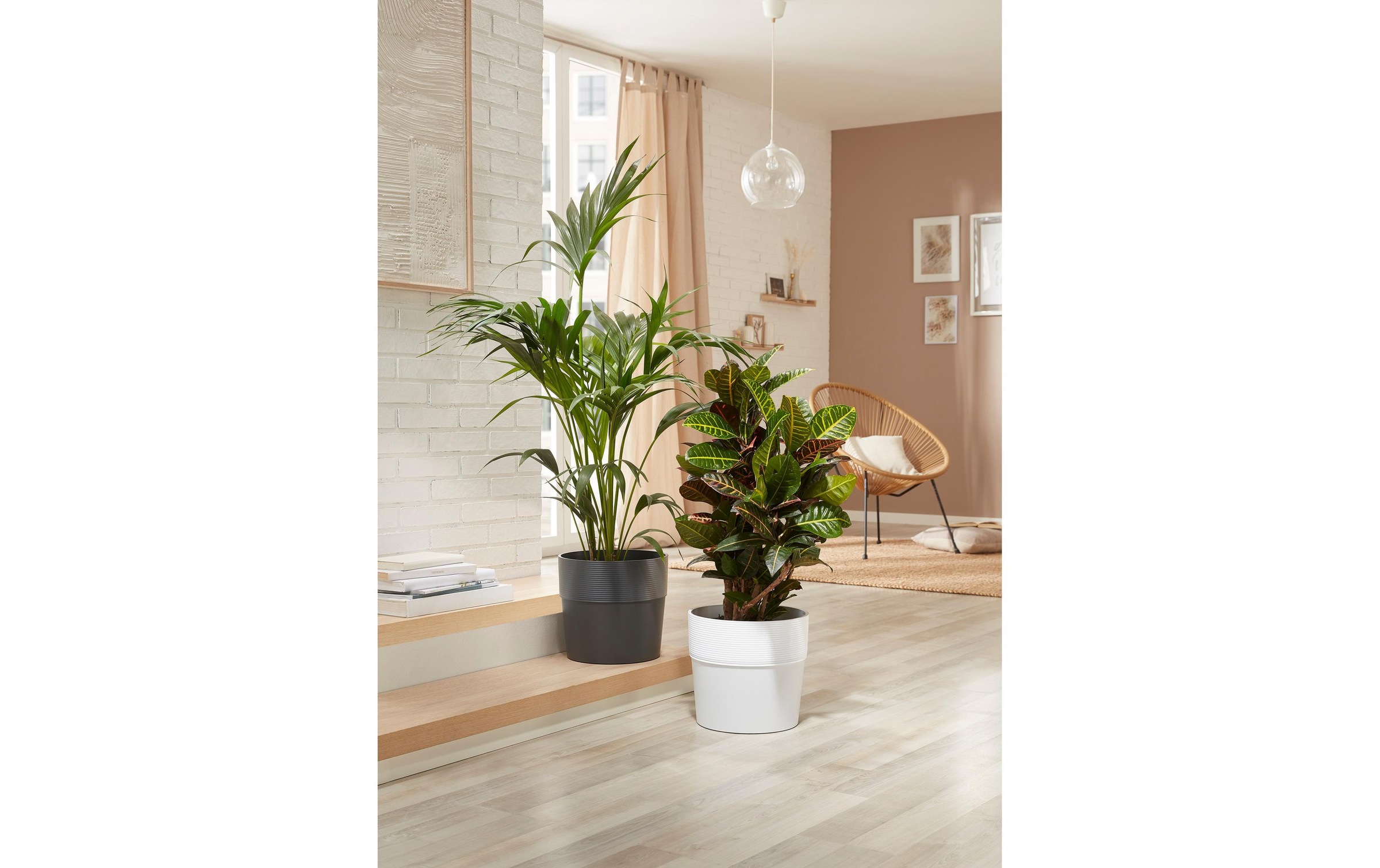 Scheurich Blumentopf »Groove 22.5 cm«