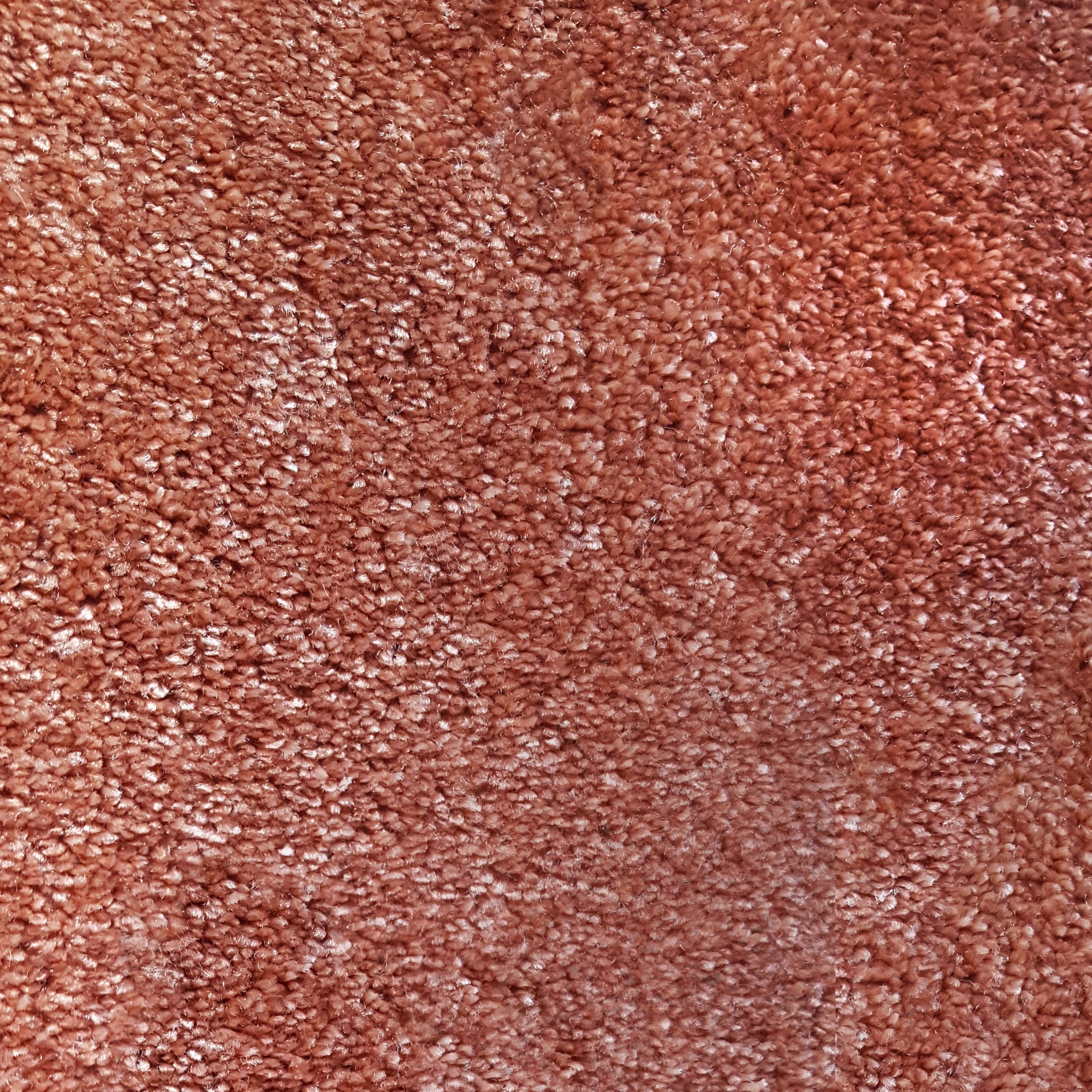 Image of Andiamo Teppichboden »Wolga«, rechteckig, 7 mm Höhe, Meterware, Breite 400 cm oder 500 cm, strapazierfähig, schallschluckend, Wohnzimmer bei Ackermann Versand Schweiz