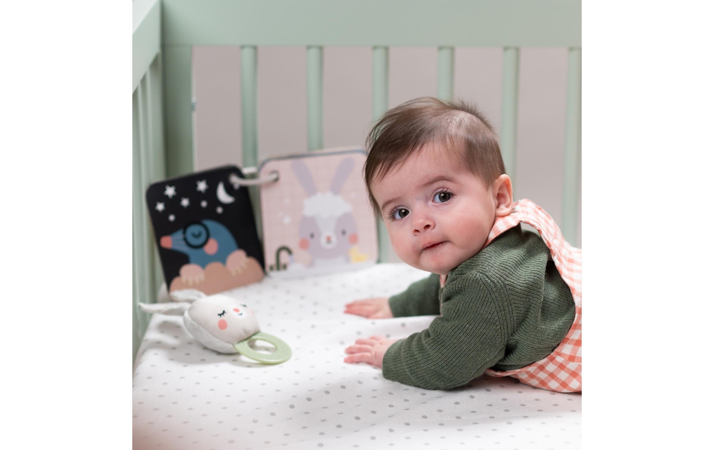 TAF TOYS Lernspielzeug »Hello Baby 0M+«