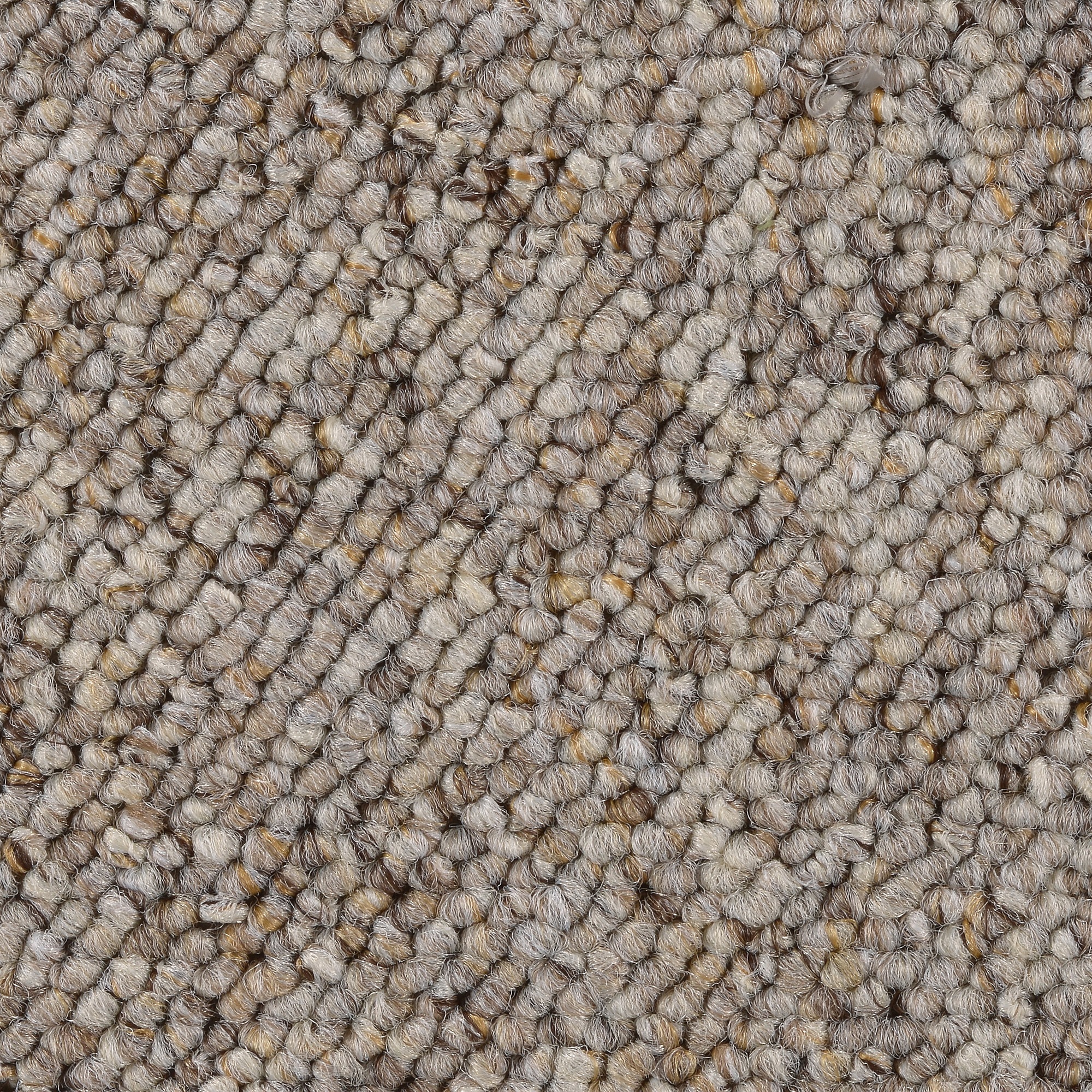 Image of Bodenmeister Teppichboden »Schlinge gemustert«, rechteckig, 8 mm Höhe, Meterware, Breite 200/300/400/500 cm bei Ackermann Versand Schweiz