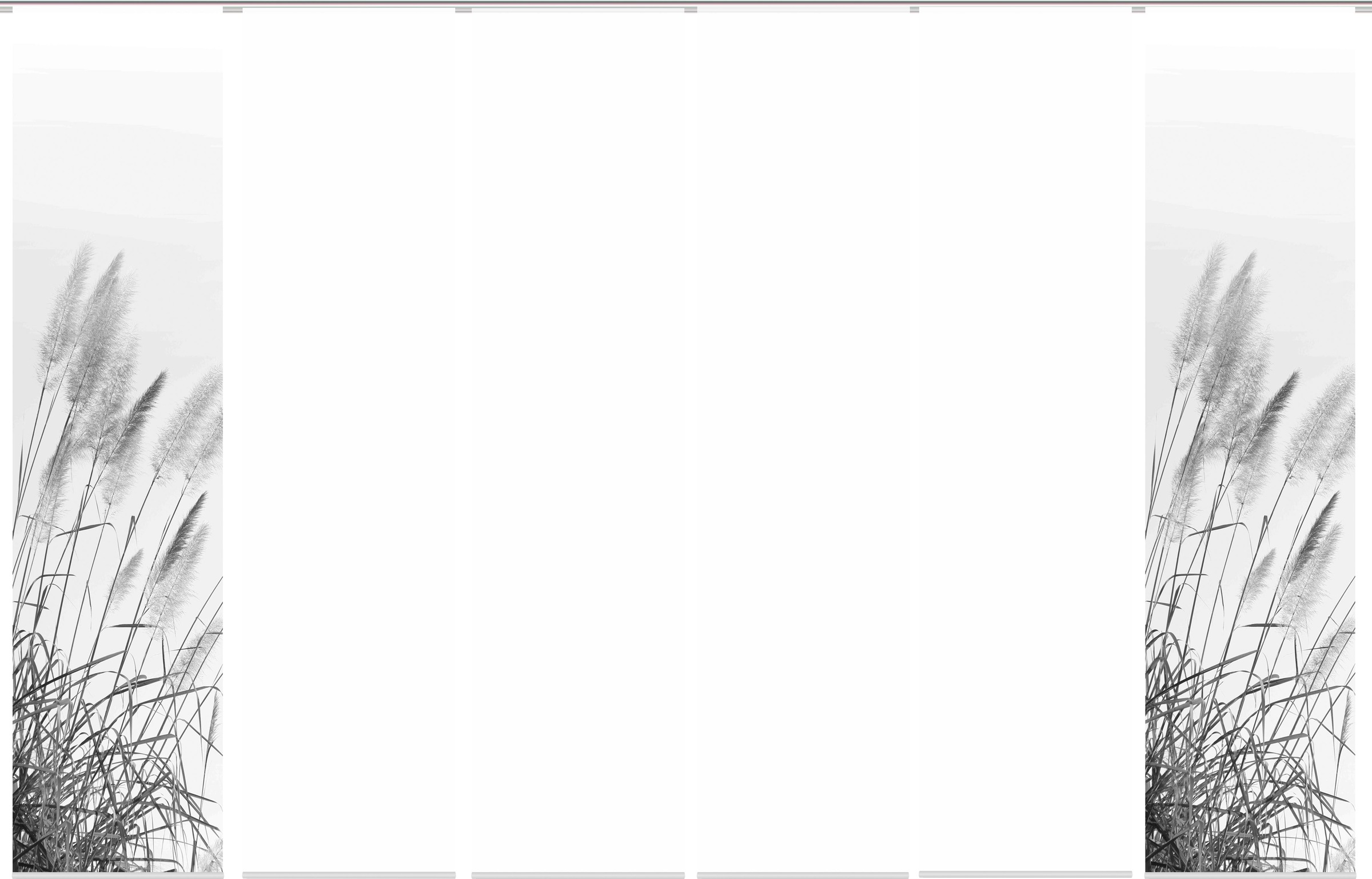 HOME WOHNIDEEN Schiebegardine »PAMPAS« Paneelwagen 1 Stk. tlg. DIGITALDRUCK