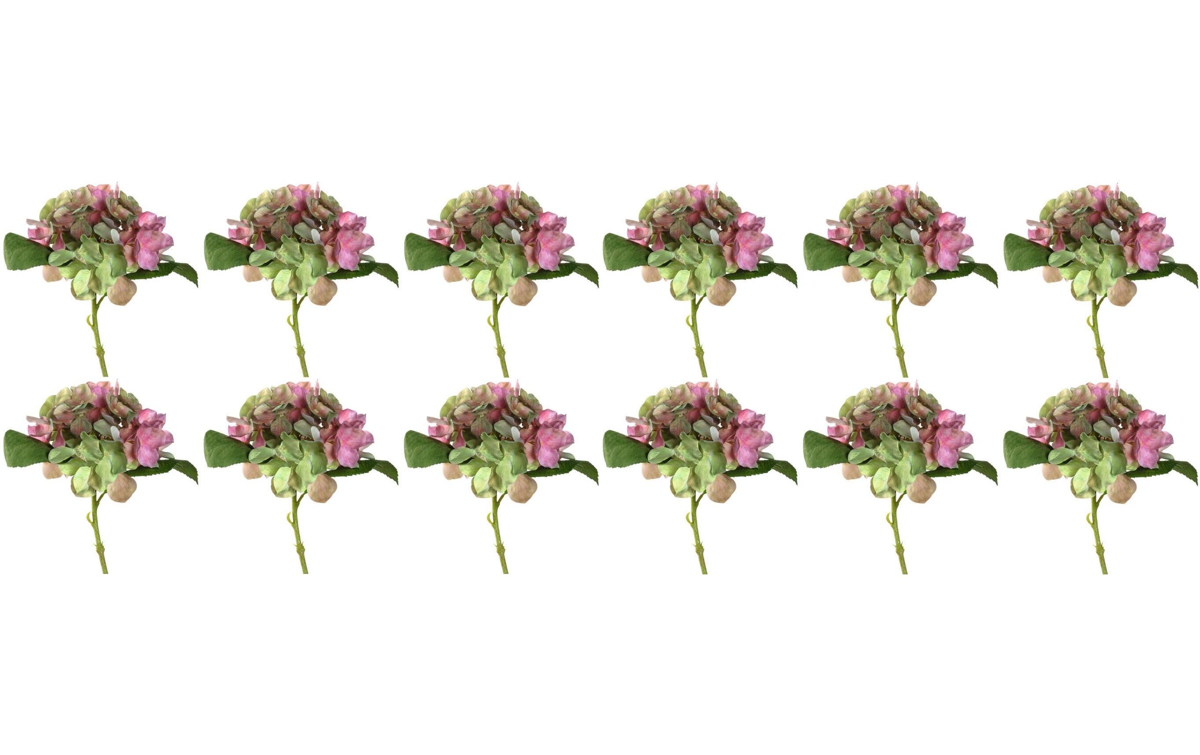 Image of LEONARDO Kunstblume »33 cm Hortensie« bei Ackermann Versand Schweiz