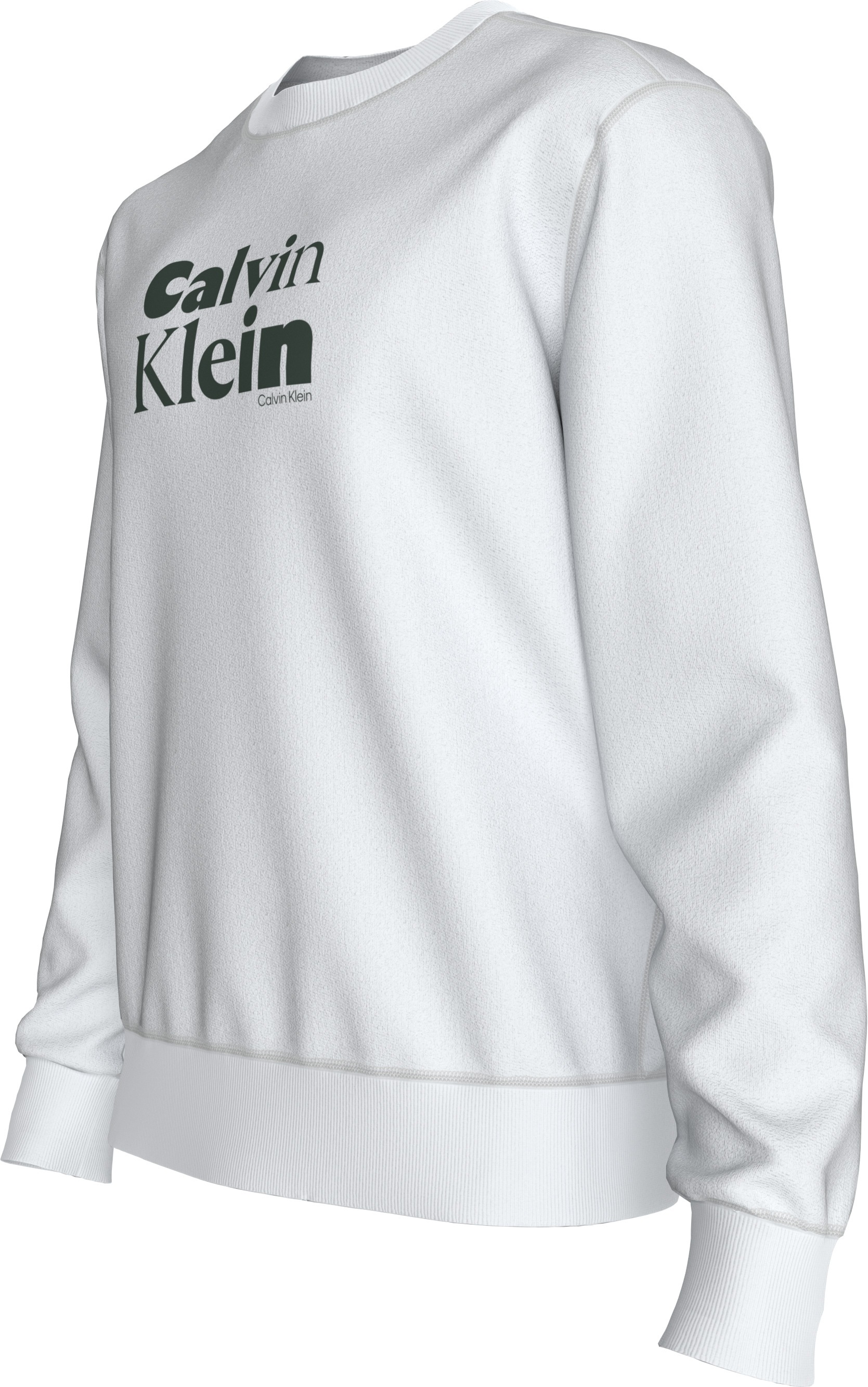 Calvin Klein Sweatshirt »LS EU 350TERRY CALVIN BOLD GRAPH«, Rundhalsausschnitt, regular fit