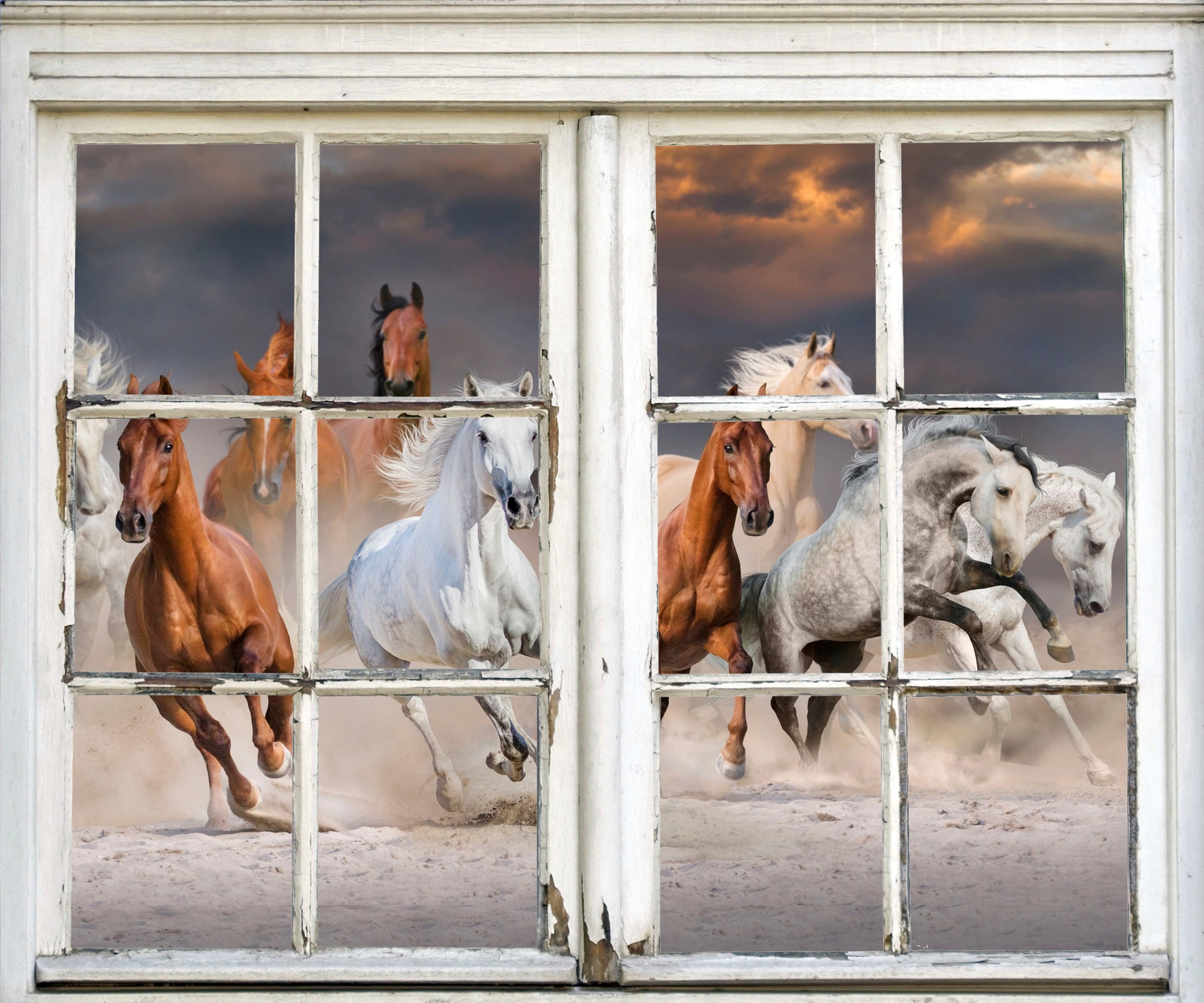 Image of queence Wandsticker "Pferde" Wandsticker, Wandbild, selbstklebend, 3D, Fenster