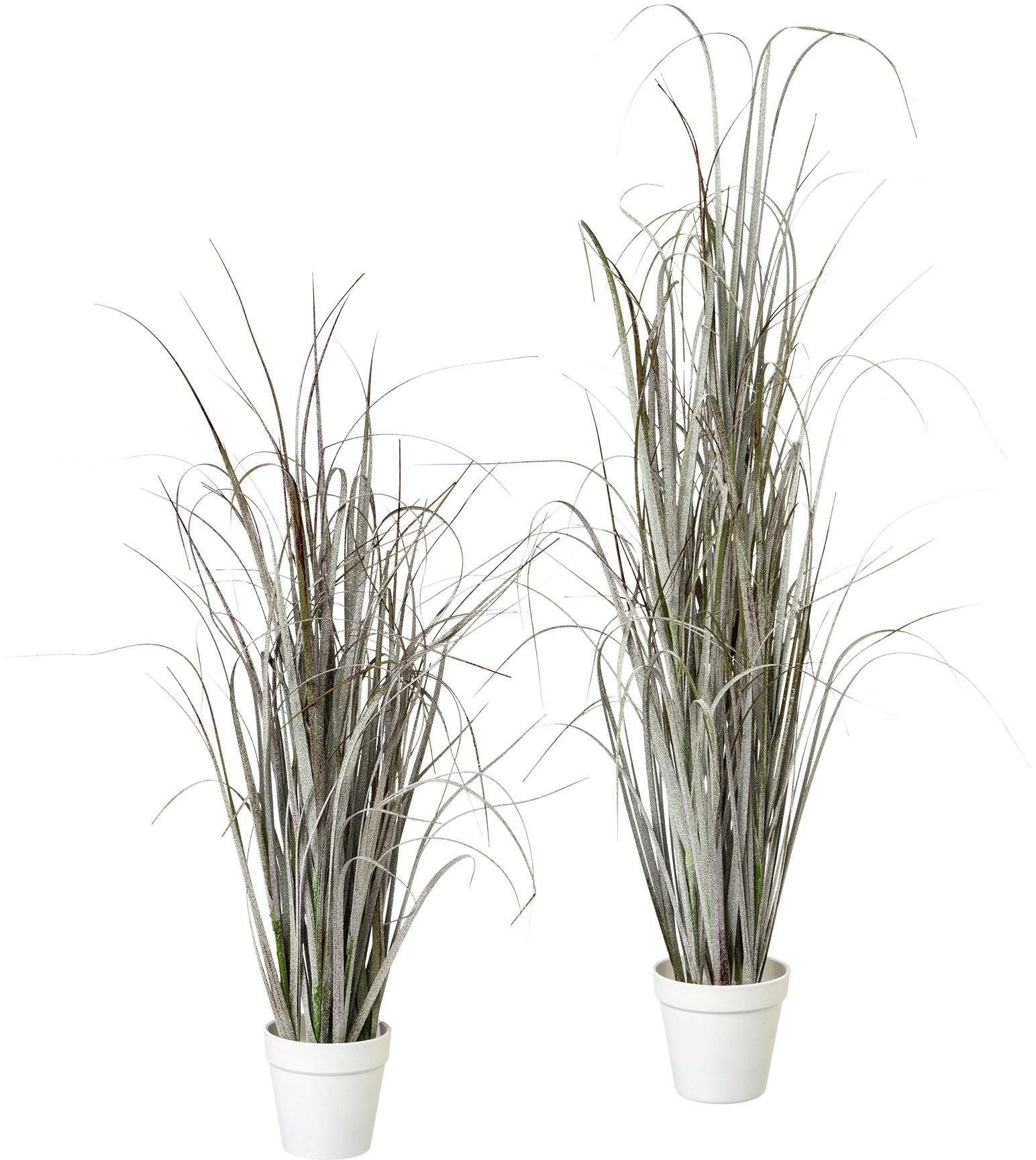 Image of Creativ deco Kunstgras »im Topf«, (Set, 2 St.), winterlich gefrostet bei Ackermann Versand Schweiz