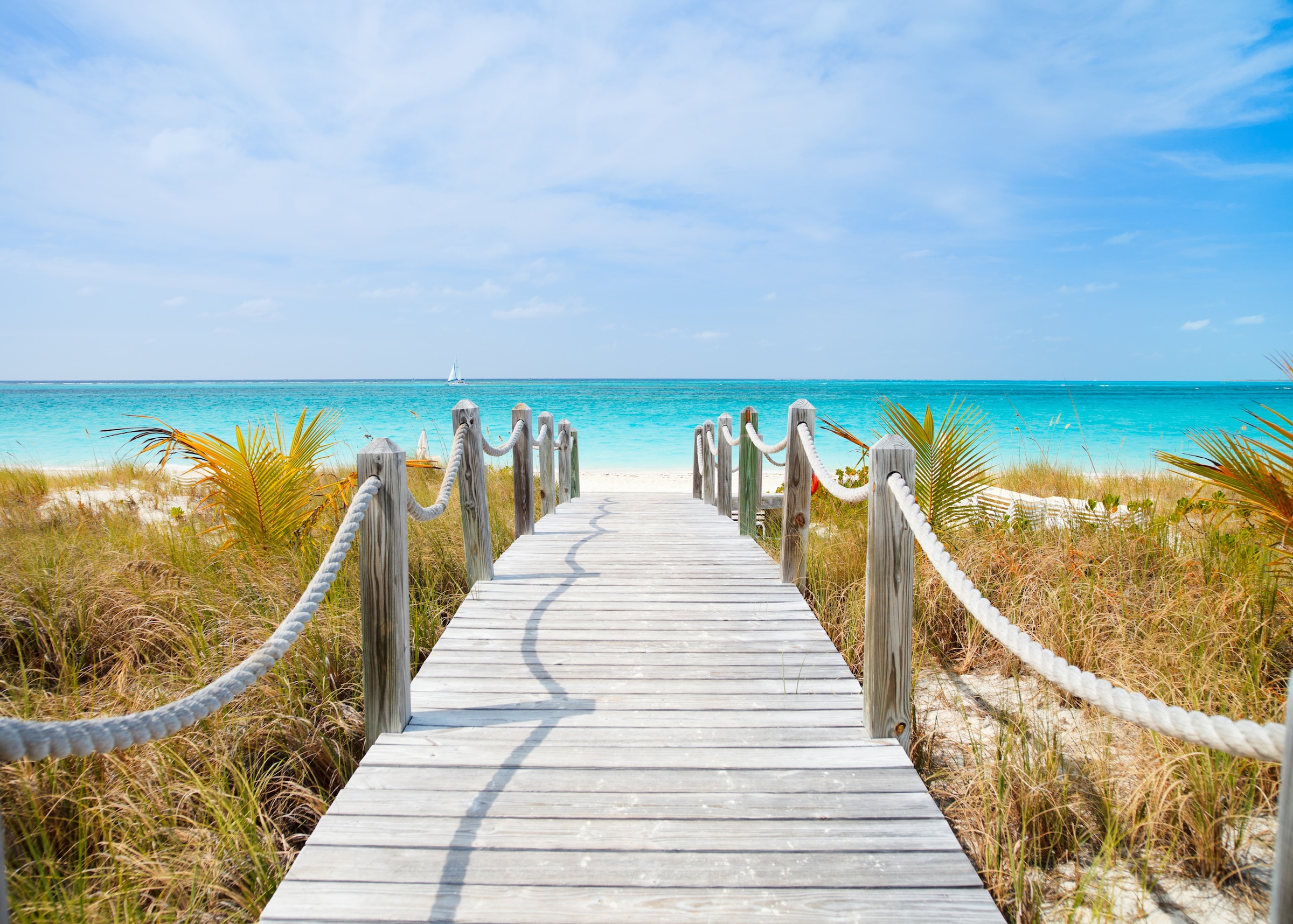 Image of Papermoon Fototapete "Dunes Carribean Beach" glatt