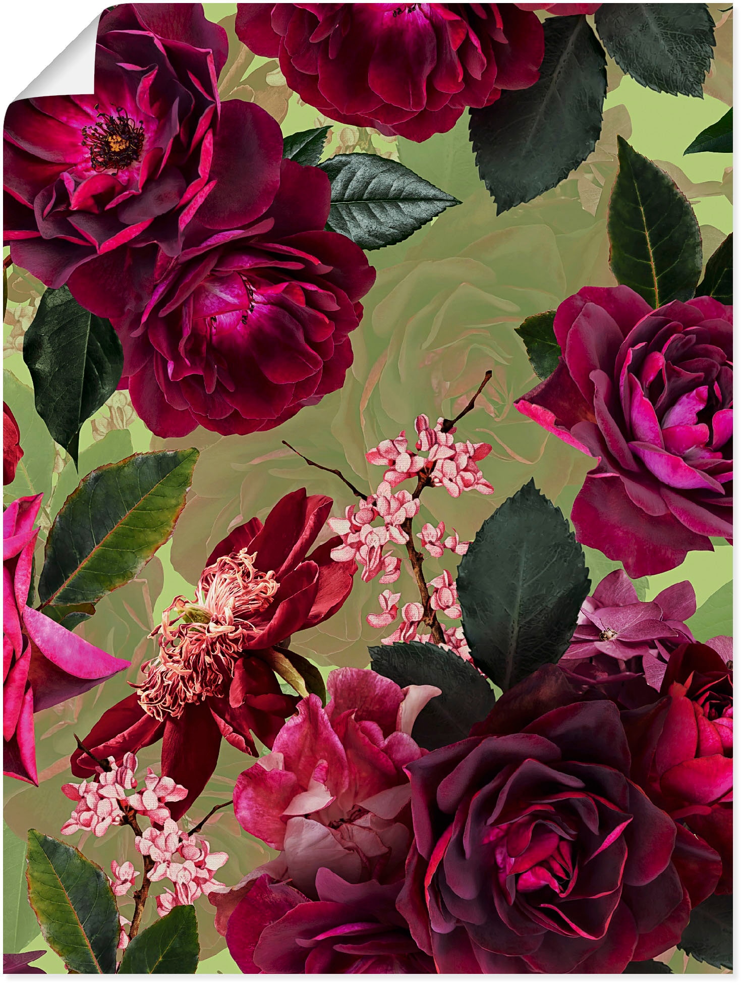 Image of Artland Poster "Dunkle Rosen auf Grün" Blumenbilder 1 Stk. tlg. ohne Rahmen