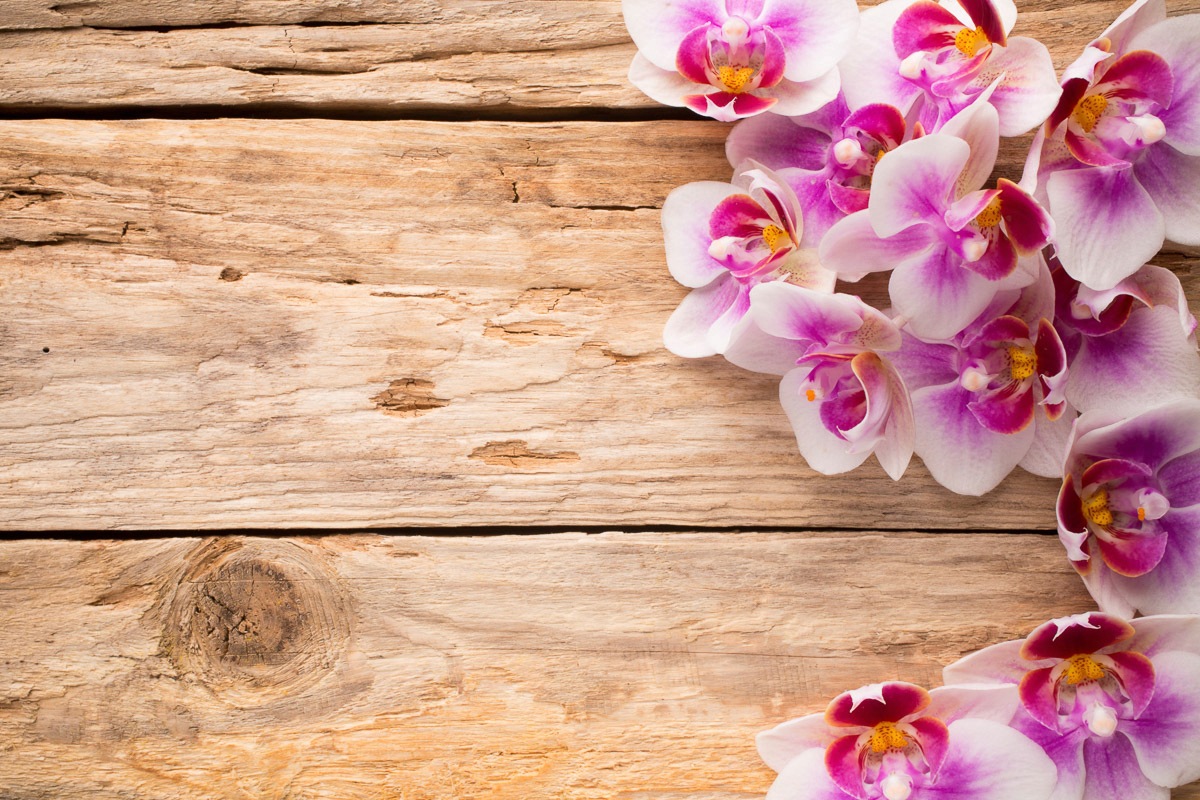 Image of Papermoon Fototapete »Blumen auf holz«, Vliestapete, hochwertiger Digitaldruck, inklusive Kleister bei Ackermann Versand Schweiz