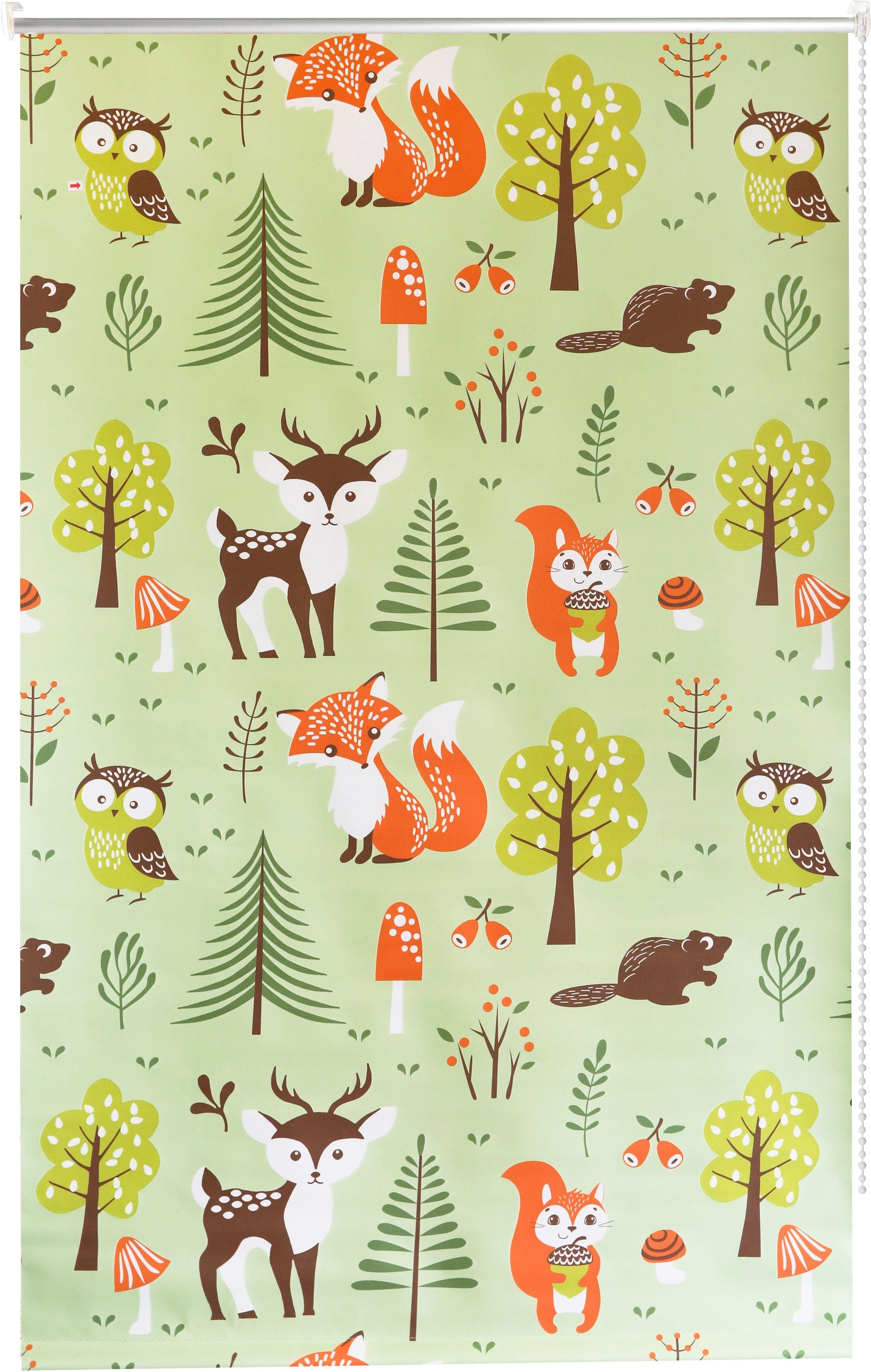 Image of Lüttenhütt Seitenzugrollo »Waldtiere«, verdunkelnd, Verdunkelung-energiesparend, ohne Bohren, freihängend, Klemmfix, Kinderrollo im Fixmass, bedruckt, Tiere, Wald, Klemmträger bei Ackermann Versand Schweiz