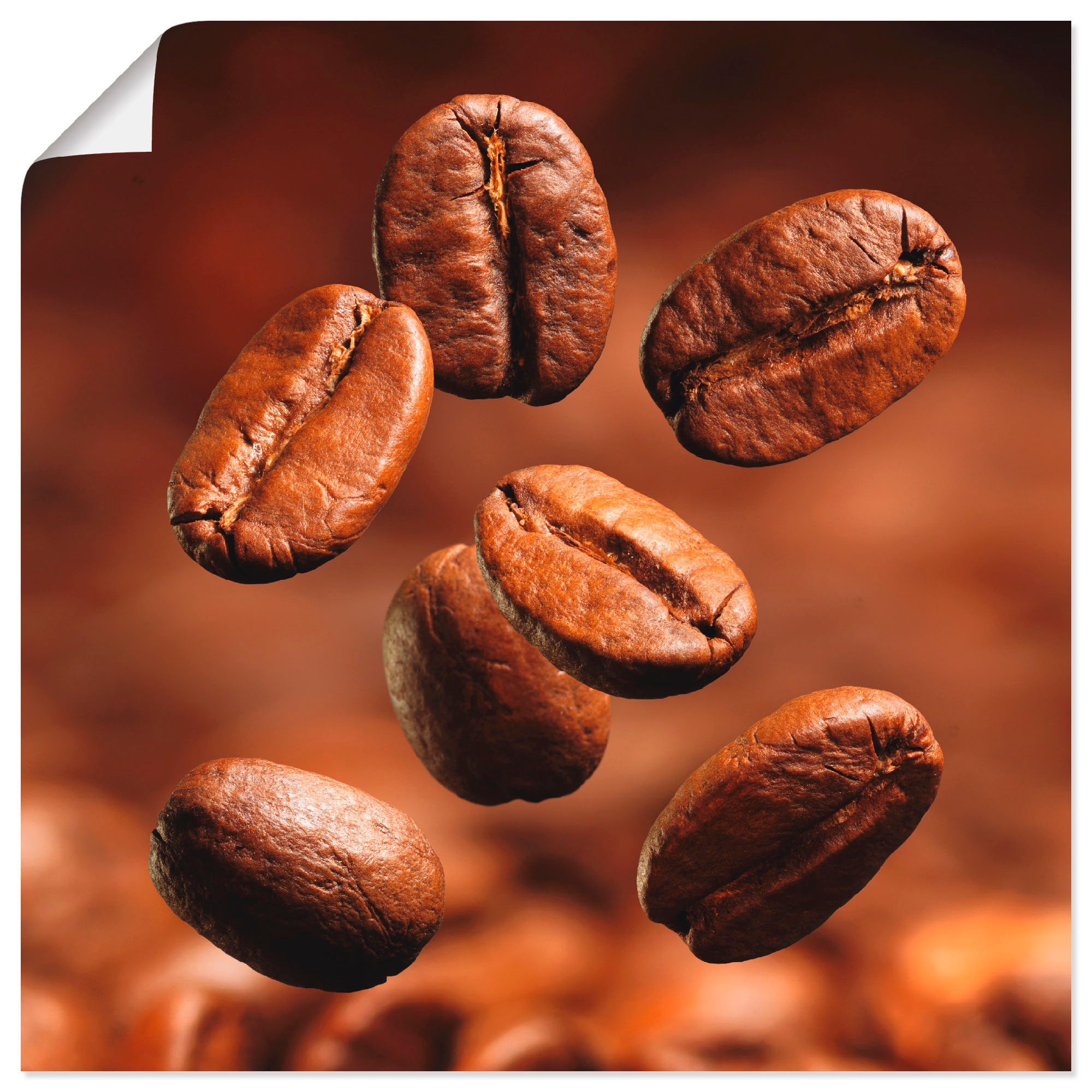 Image of Artland Poster "Nahaufnahme von Kaffeebohnen" Getränke 1 Stk. tlg. ohne Rahmen
