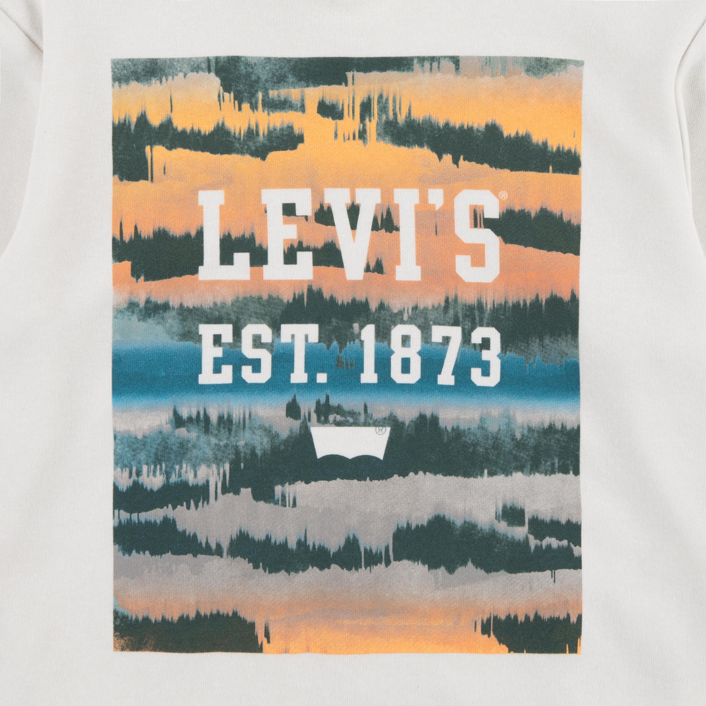 Levi's® Kids Hoodie, mit grossem Frontprint, for BOYS