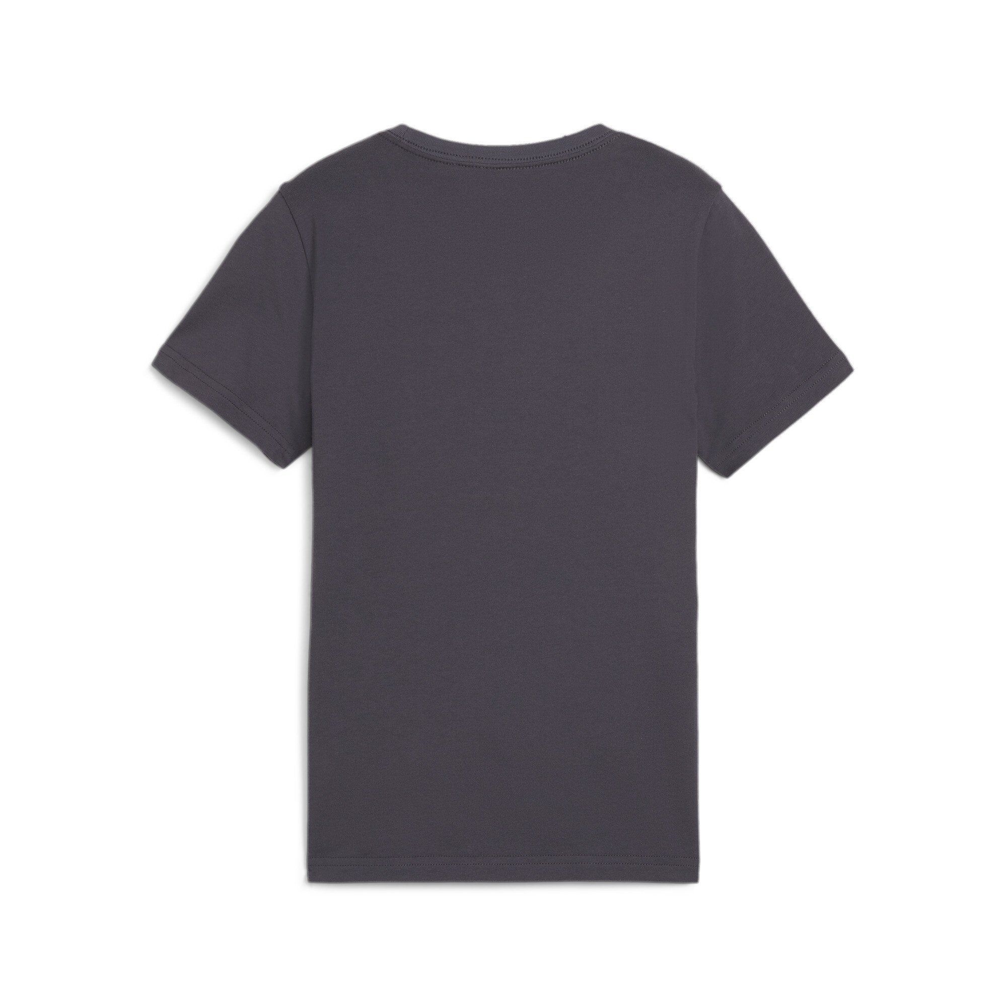 PUMA T-Shirt »ESS+ MID 90S GRAPHIC TEE B«