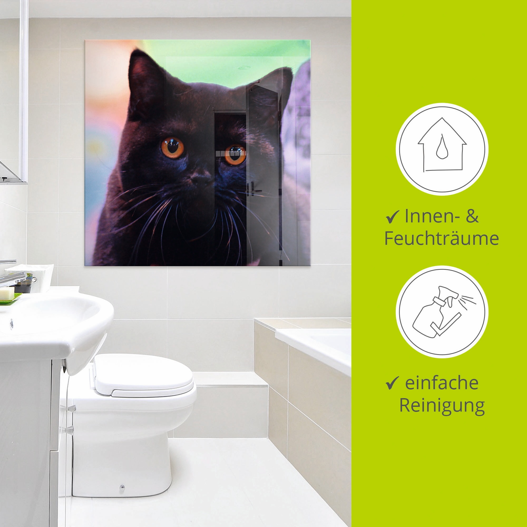 Artland Glasbild »Schwarze Britisch Kurzhaarkatze«, Haustiere, (1 St.), in verschiedenen Grössen