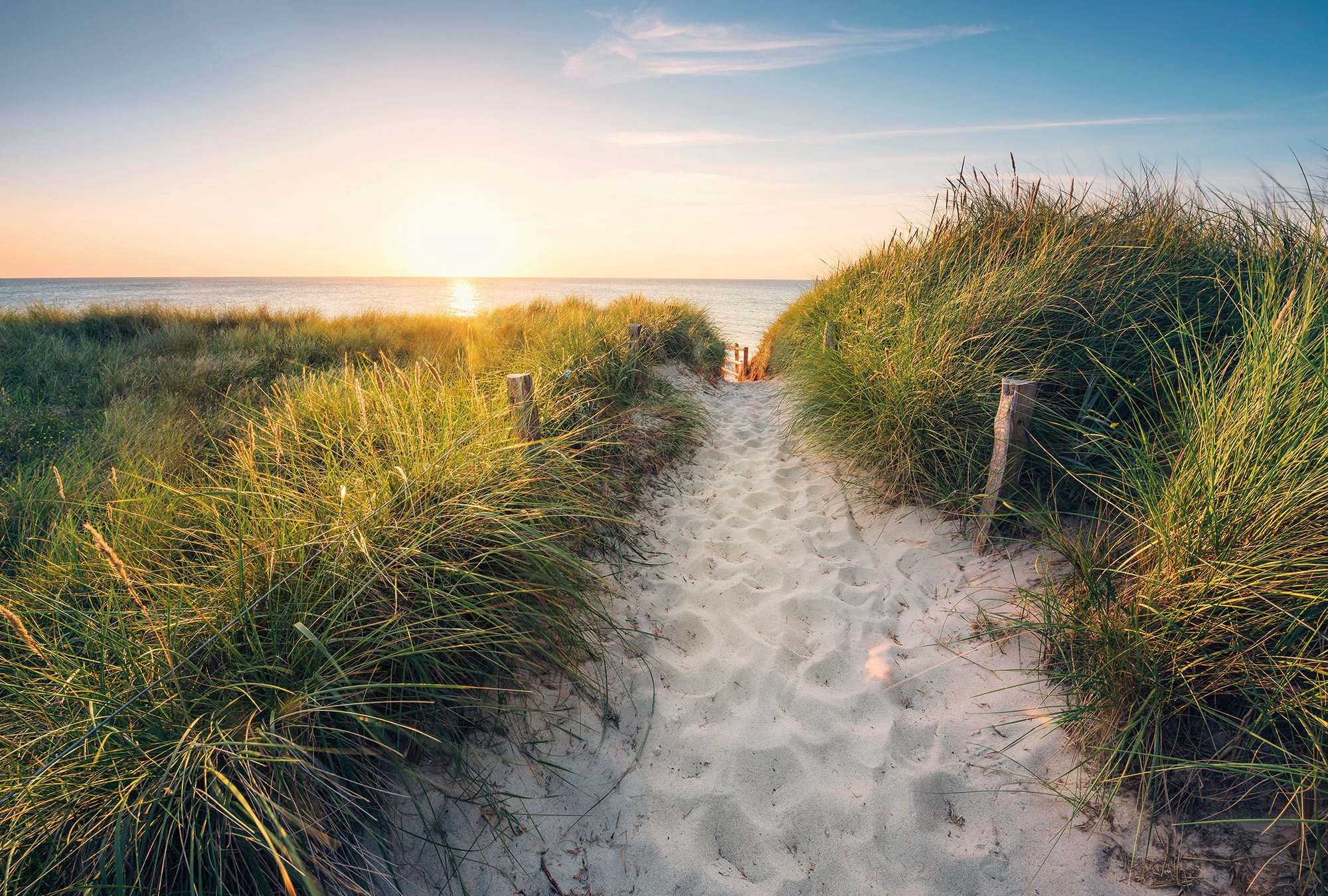 Komar Fototapete »Vlies - Way to the Beach - Grösse 368 x 248 cm«, bedruckt, Wohnzimmer,...