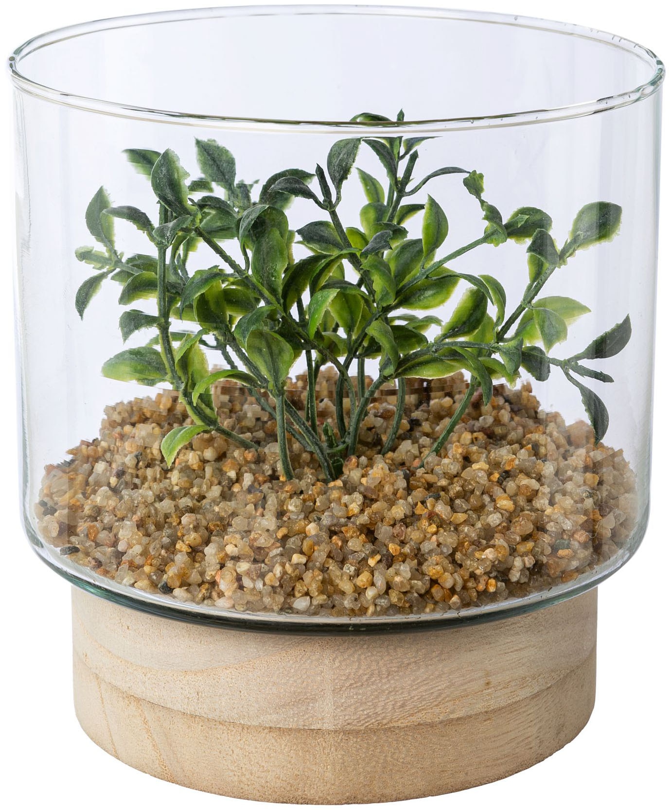 Creativ green Kunstpflanze »Sukkulenten im Glasgefäss« mit 2 verschiedenen Sukkulenten