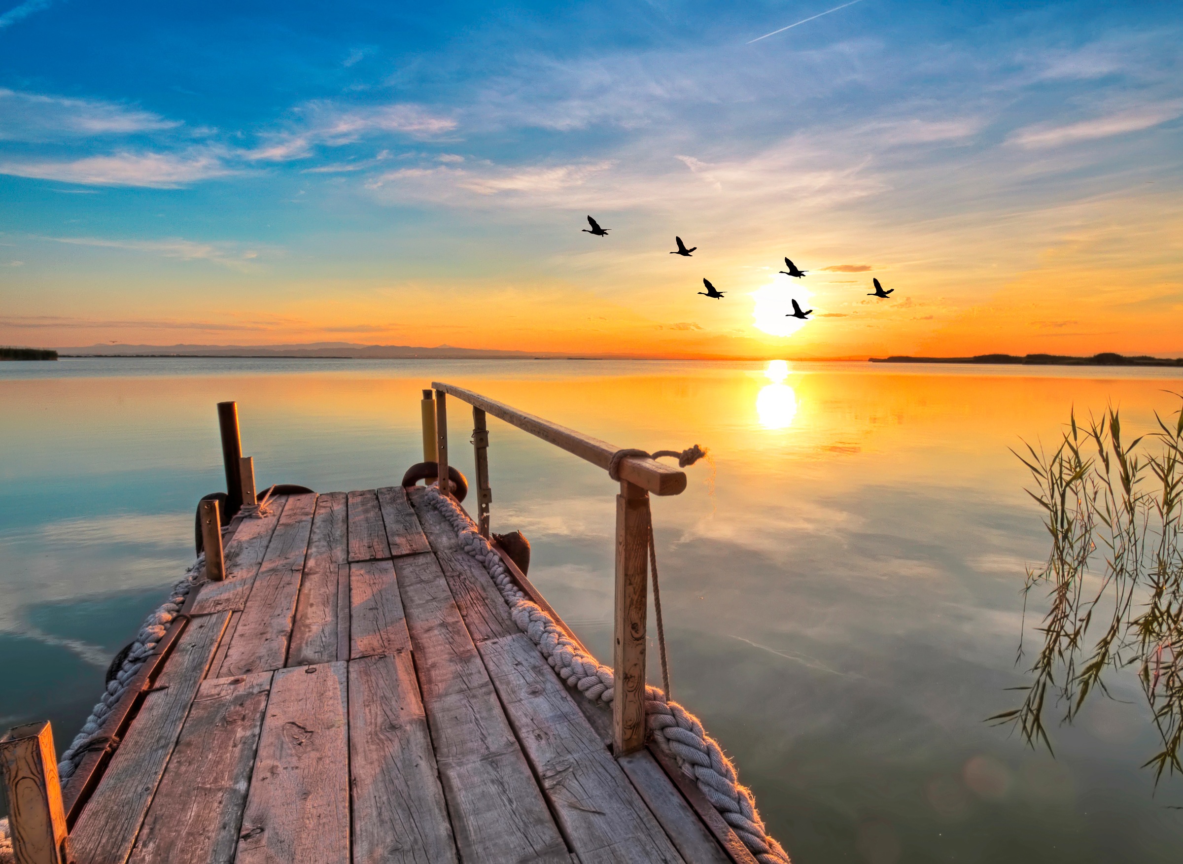 Image of Papermoon Fototapete »Sunset Pier« bei Ackermann Versand Schweiz