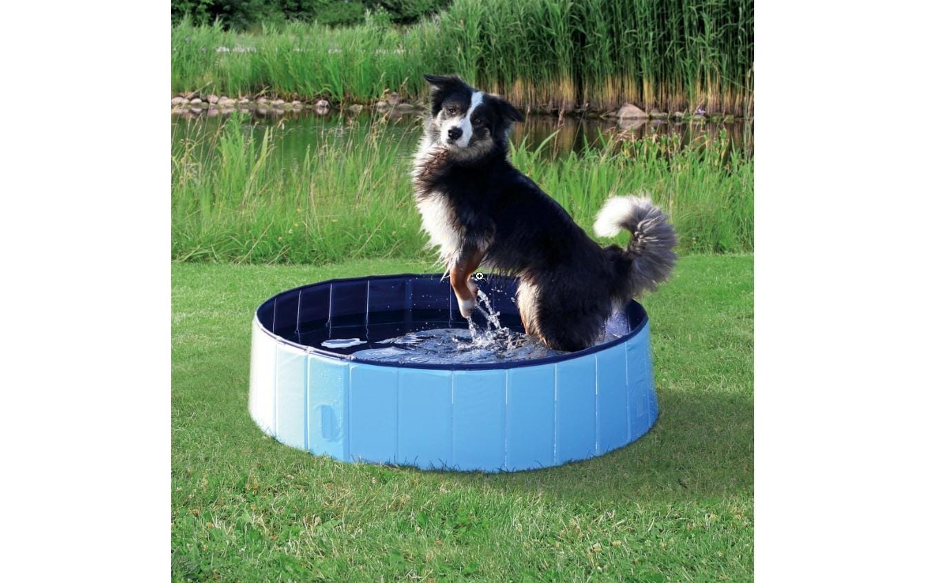 TRIXIE Piscine pour chiens »Hundepool Garden Ø 80 x 20 cm«