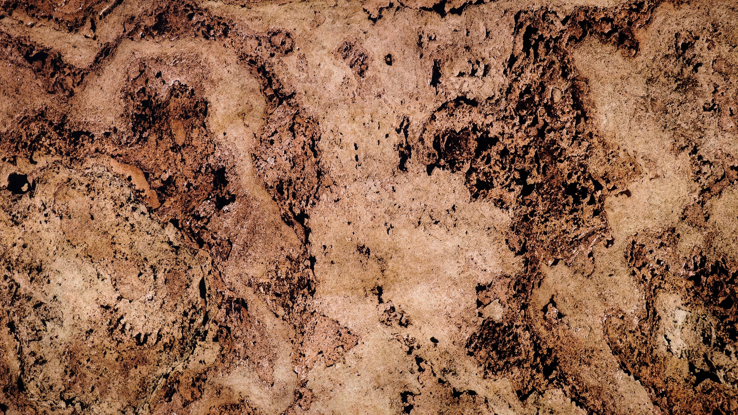 Image of Slate Lite Dekorpaneele »Translucent Terra Rosso«, (1 tlg.), aus Echtstein bei Ackermann Versand Schweiz