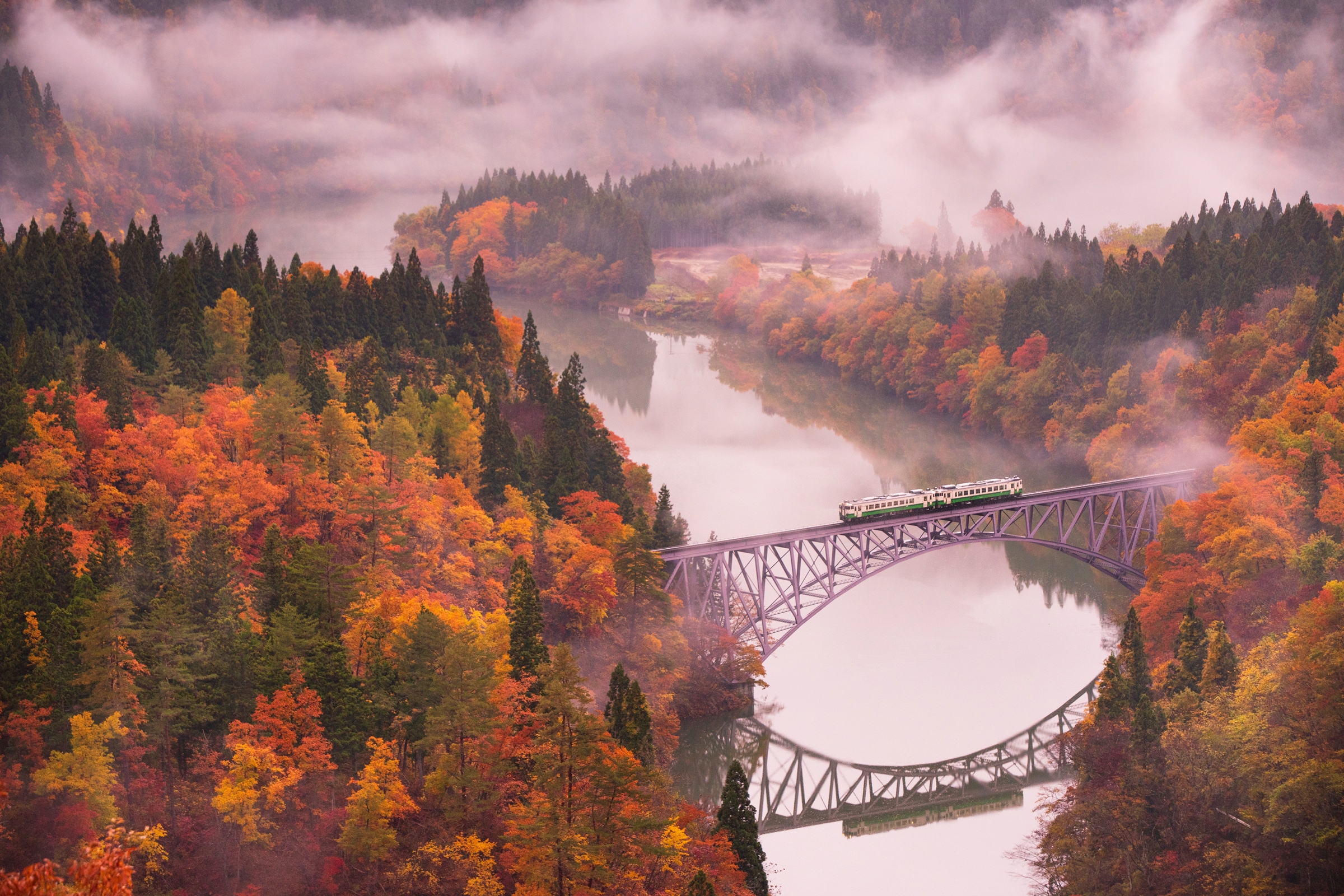 Image of Papermoon Fototapete "Photo-Art KEI SASAKI, HERBST TADAMI LINE"