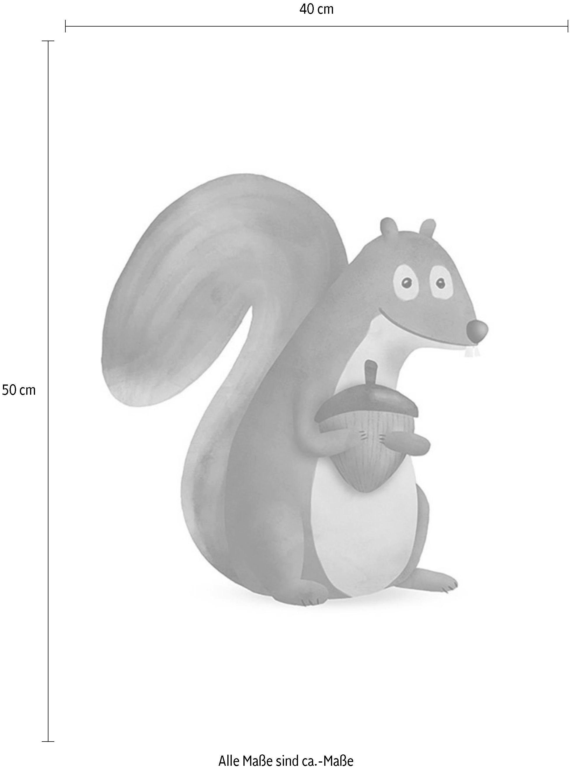 Komar Image »Cute Animal Squirrel« Animaux 1 cuis tlg. Wandbild zur Dekoration - ohne Rahmen