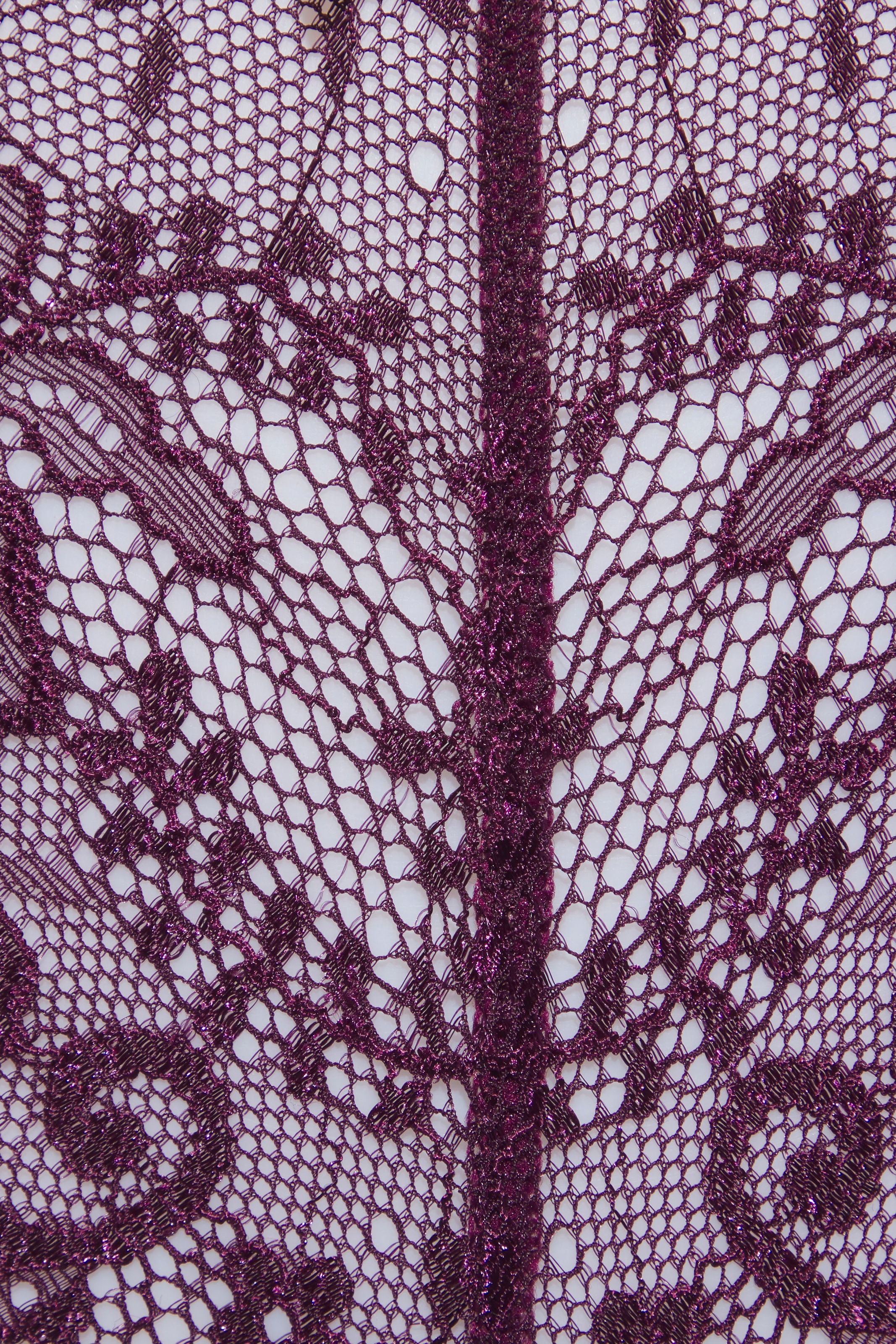 LASCANA String, aus schöner Vollspitze und Schleife