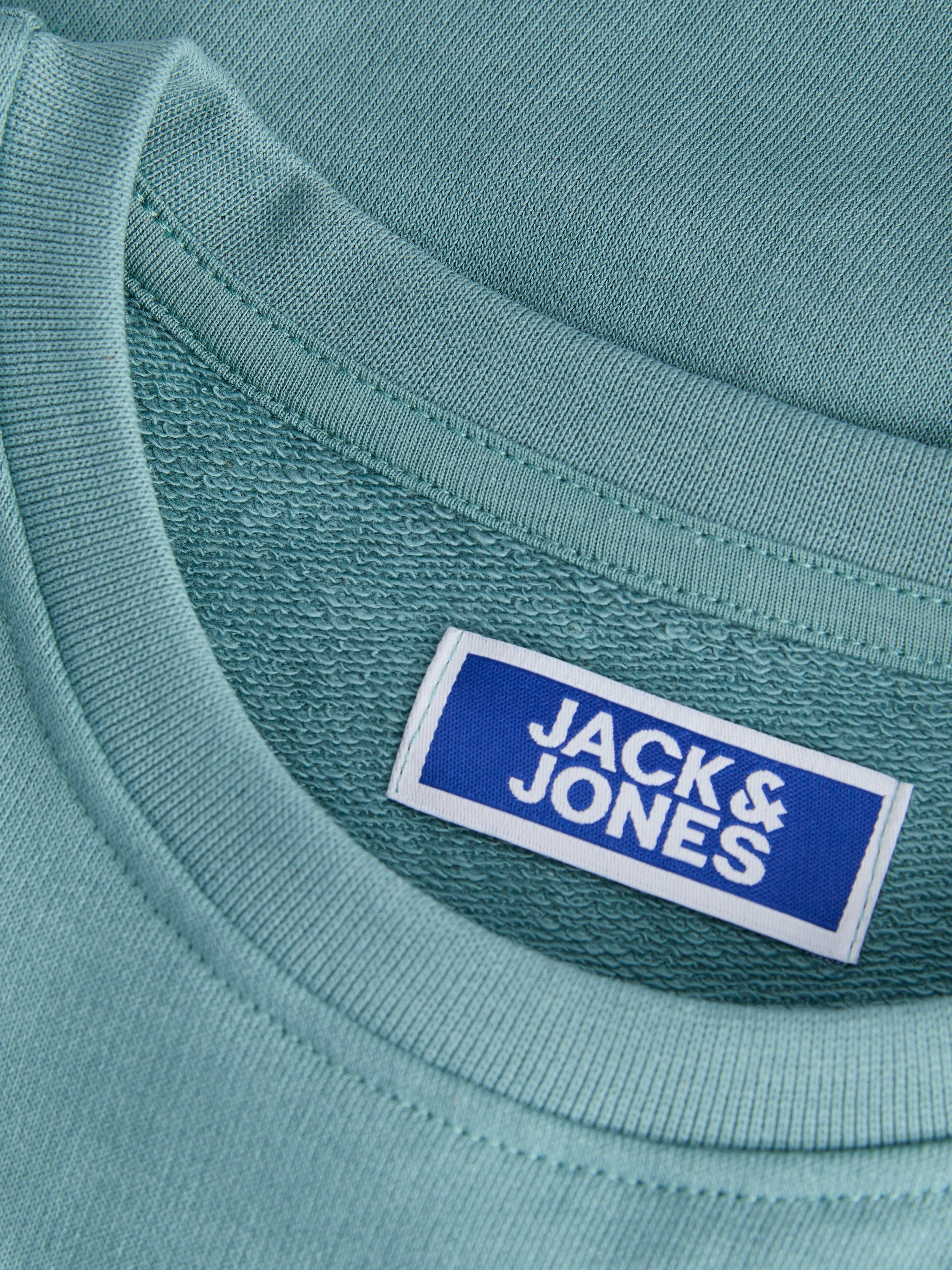 Jack & Jones Junior Sweatshirt »JJCOLE PRINT SWEAT CREW JNR«, mit Logoprint
