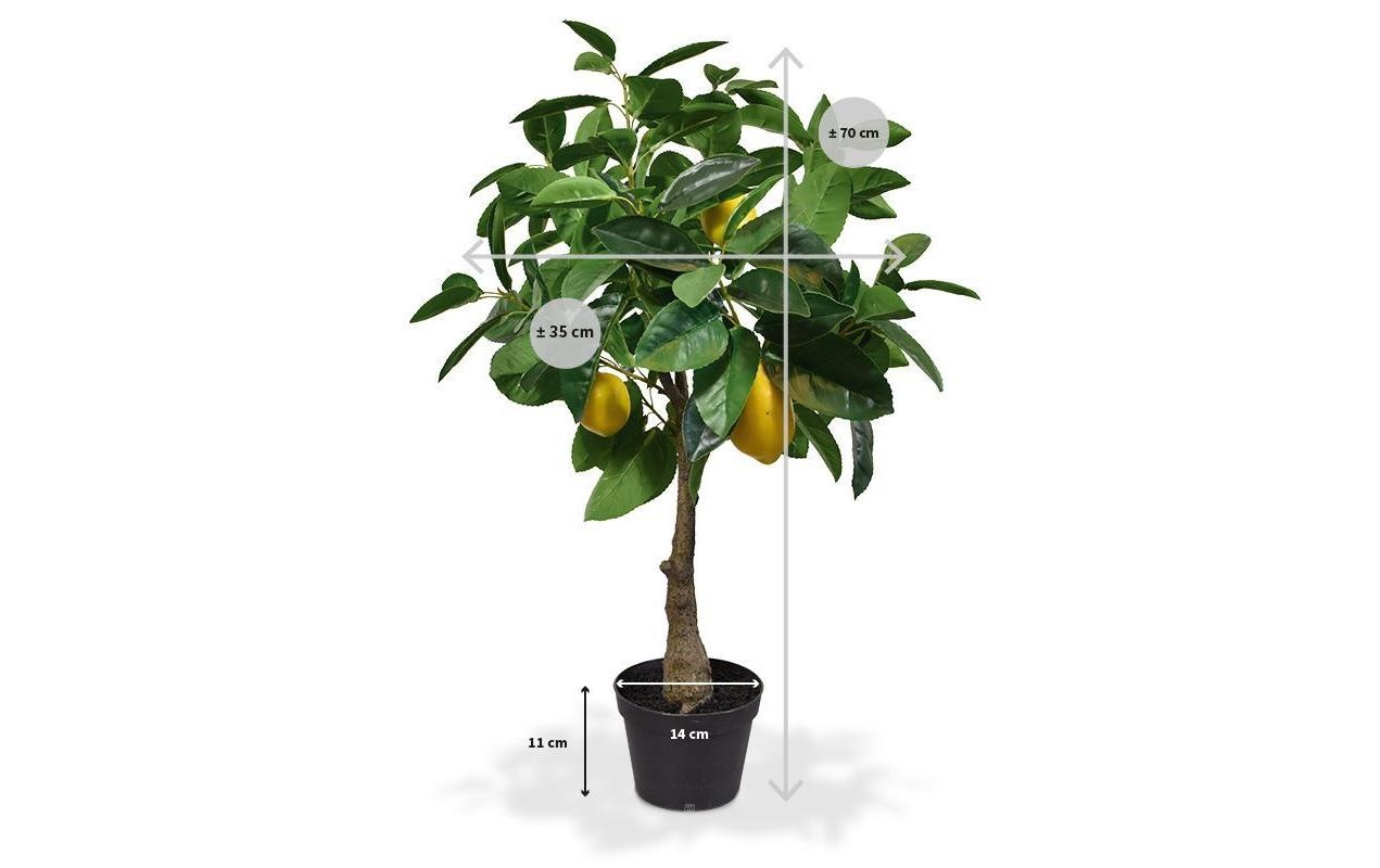 Botanic-Haus Fleur artificielle »Zitronenbaum 70 cm«
