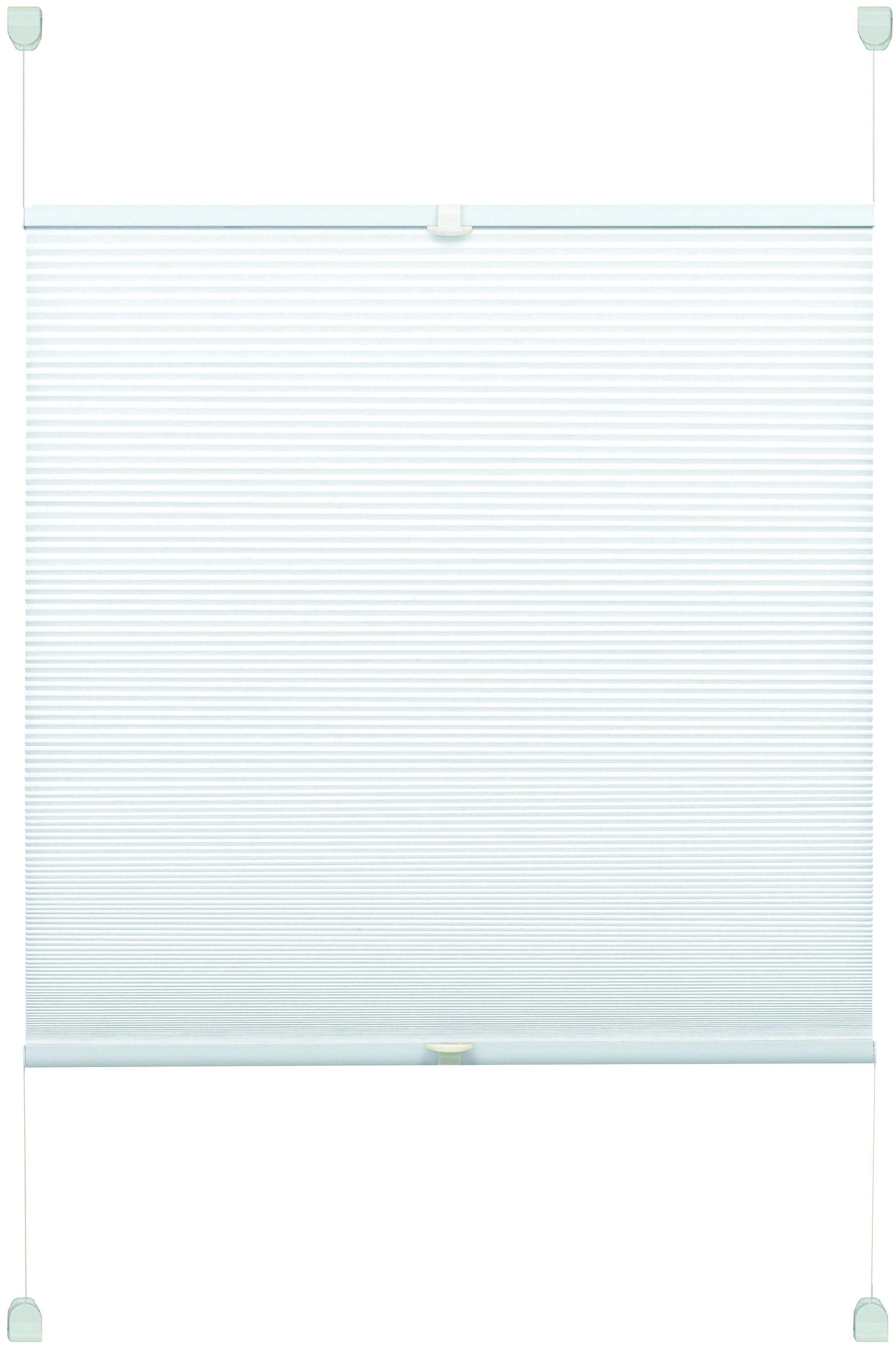 Image of GARDINIA Plissee »Easy-Basic Plisse mit 2 Bedienschienen«, Lichtschutz, ohne Bohren, verspannt bei Ackermann Versand Schweiz