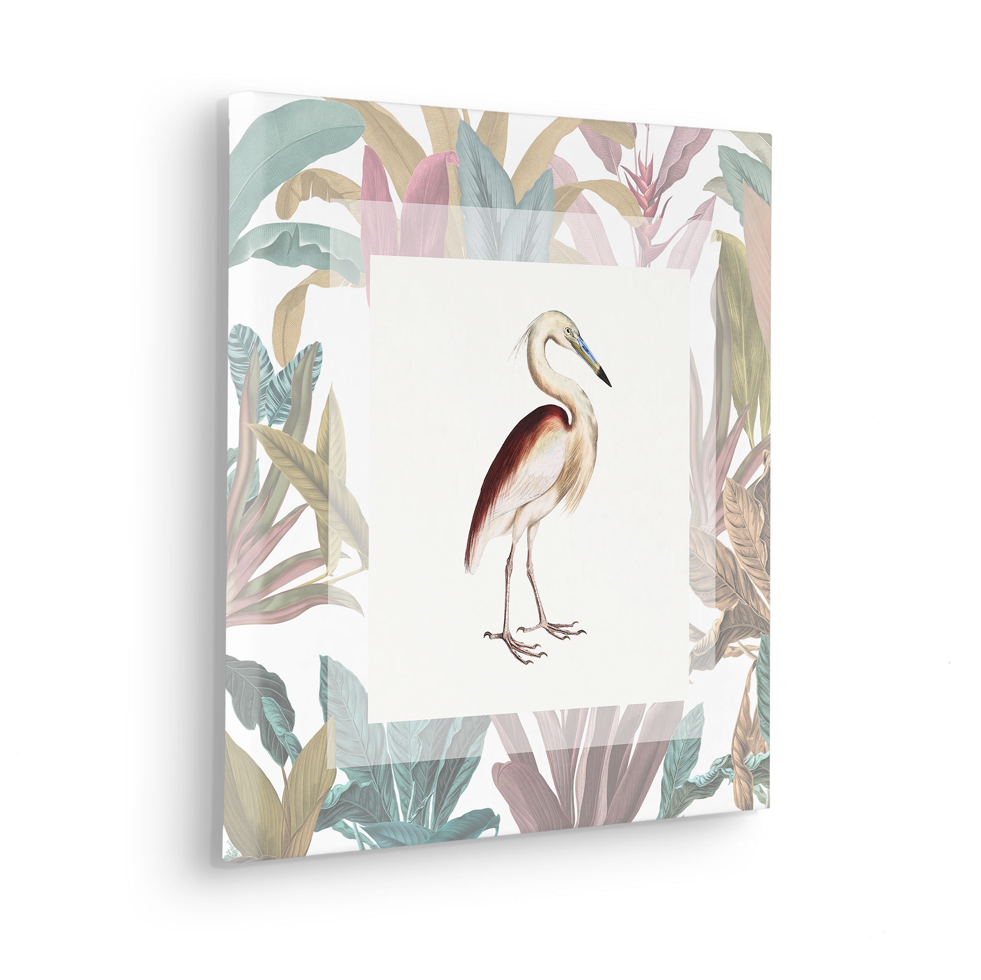 Komar Leinwandbild »Uncommon Bird - Grösse 40 x 40 cm«, Natur, (1 St.), Keilrahmenbild mi Echtholzrahmen