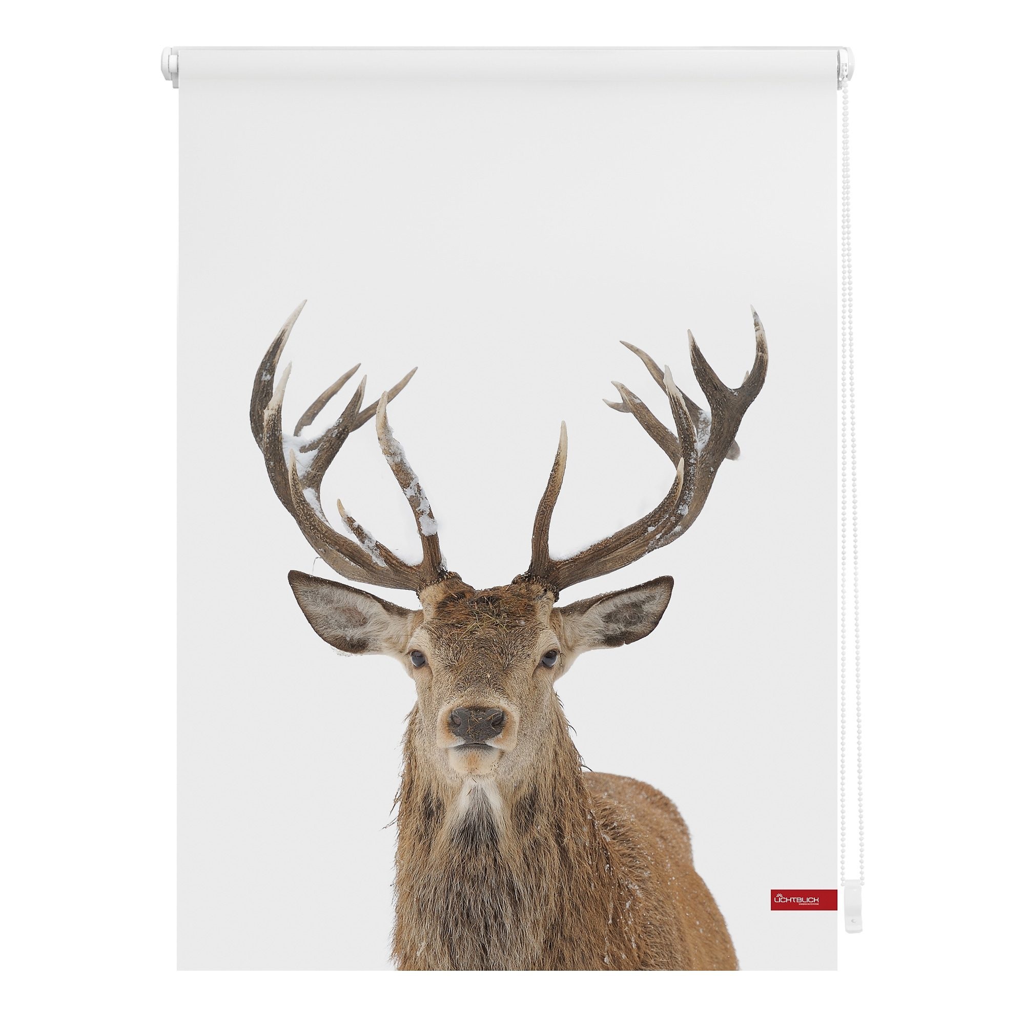 Image of LICHTBLICK ORIGINAL Seitenzugrollo »Klemmfix Motiv Hirsch«, Lichtschutz, ohne Bohren, freihängend, bedruckt bei Ackermann Versand Schweiz