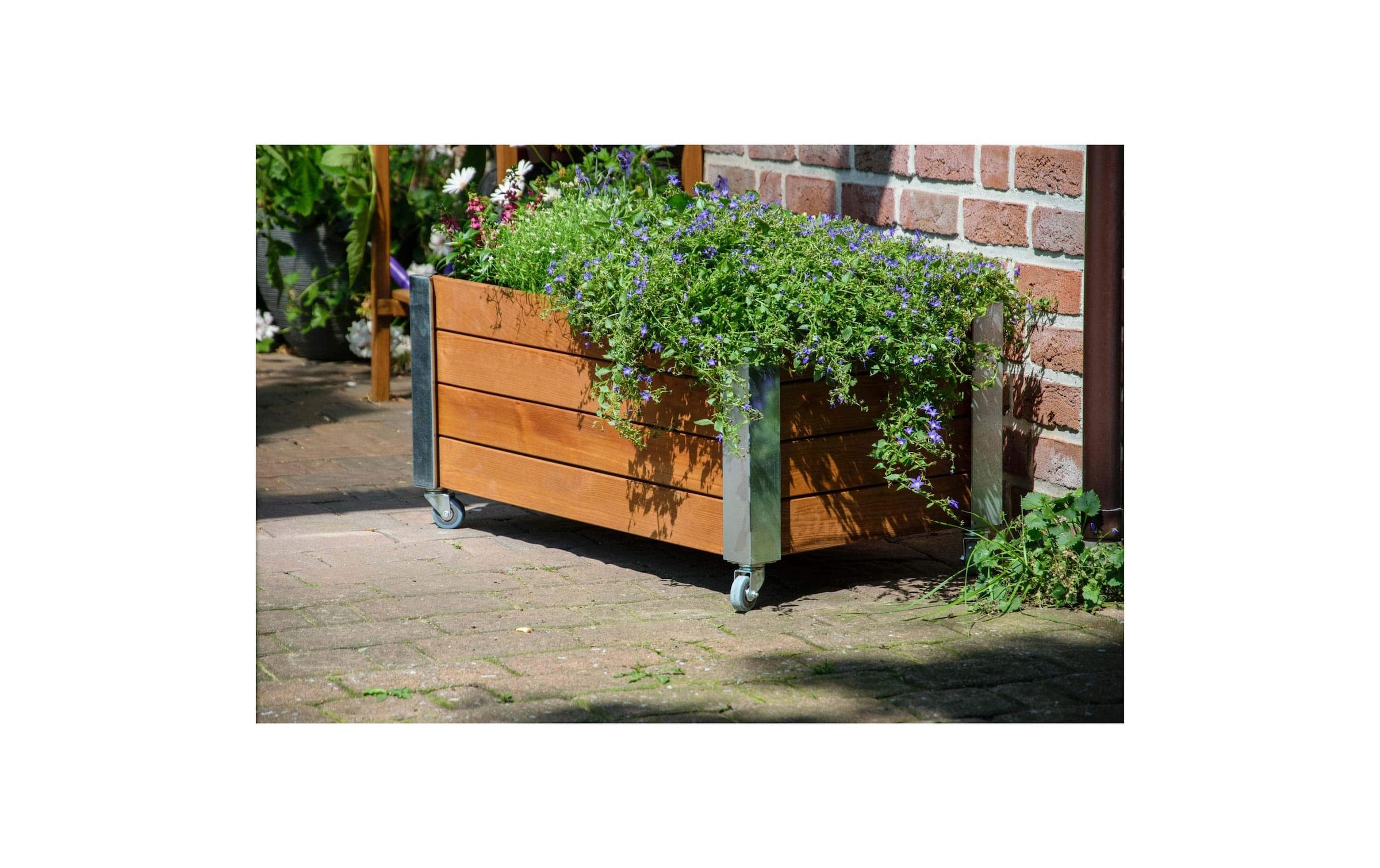 dobar Hochbeet »«Rollfi» aus Holz mit Rollen«