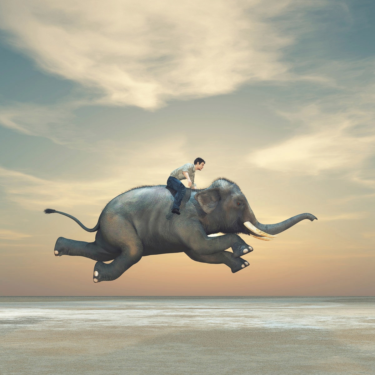 Image of Papermoon Fototapete "Mann auf Elefant"