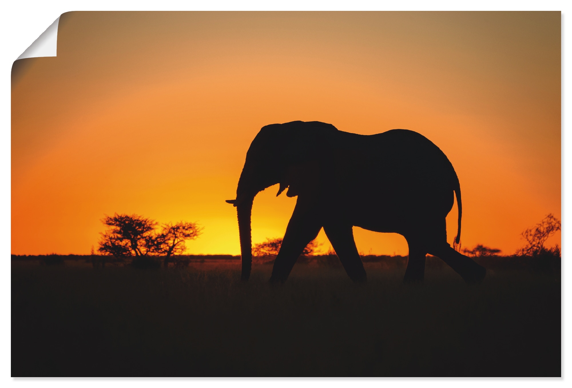 Artland Wandbild »Afrikanischer Elefant im Sonnenuntergang«, Wildtiere, (1  St.), als Alubild, Leinwandbild, Wandaufkleber oder Poster in versch.  Grössen jetzt kaufen