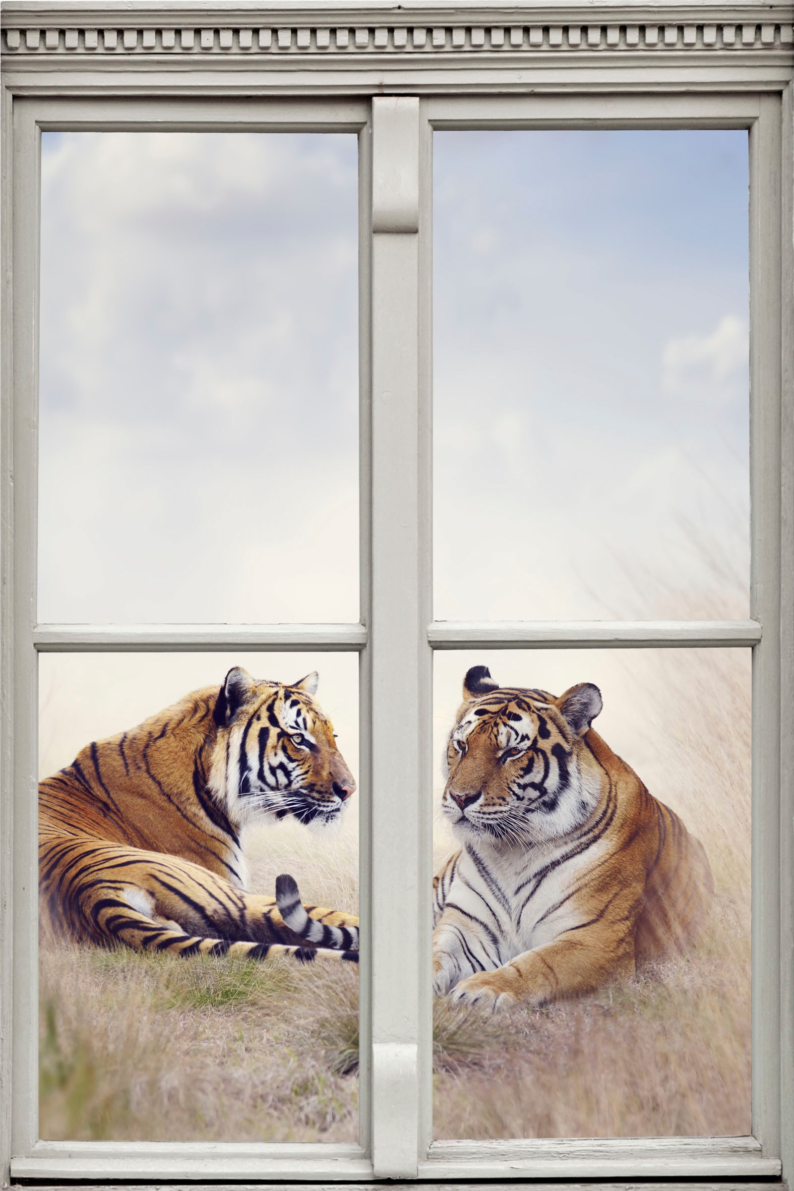 Image of queence Wandsticker »Tiger« bei Ackermann Versand Schweiz