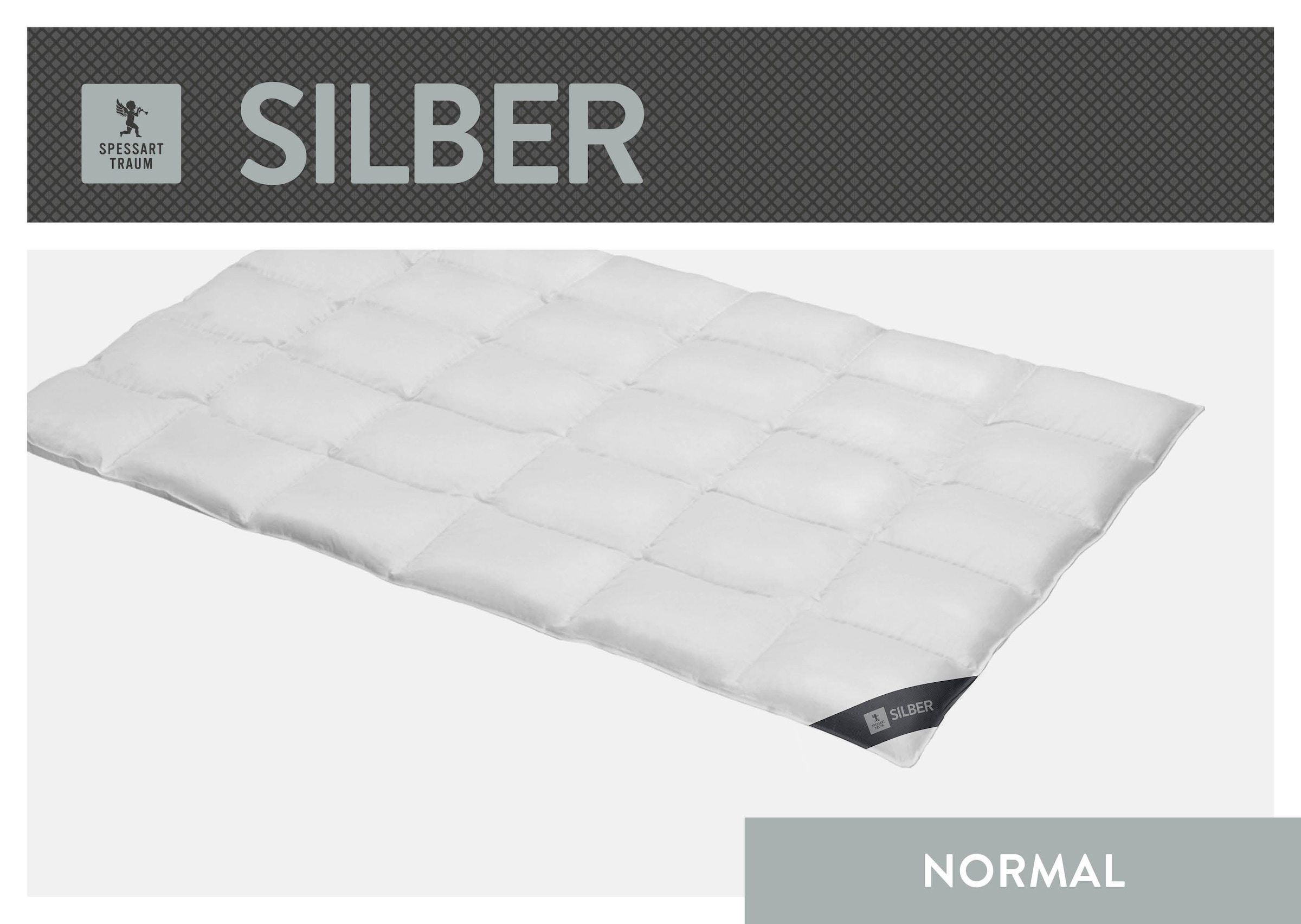 Image of SPESSARTTRAUM Daunenbettdecke "Silber" normal Füllung 100% Daunen 1 Stk. tlg. hergestellt in Deutschland, allergikerfreundlich