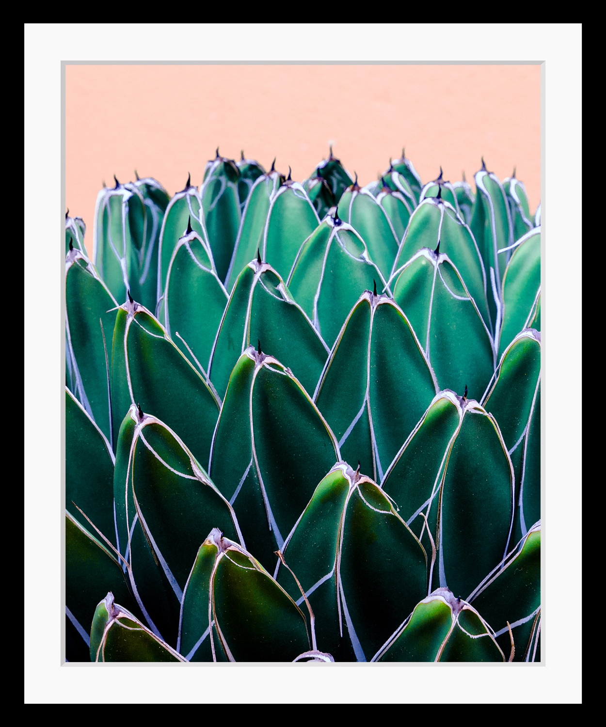 Image of queence Bild "Ruby" Blätter Kunst Pflanzen Pflanzenbilder HD Premium Poster-Druck inkl. Holzrahmen