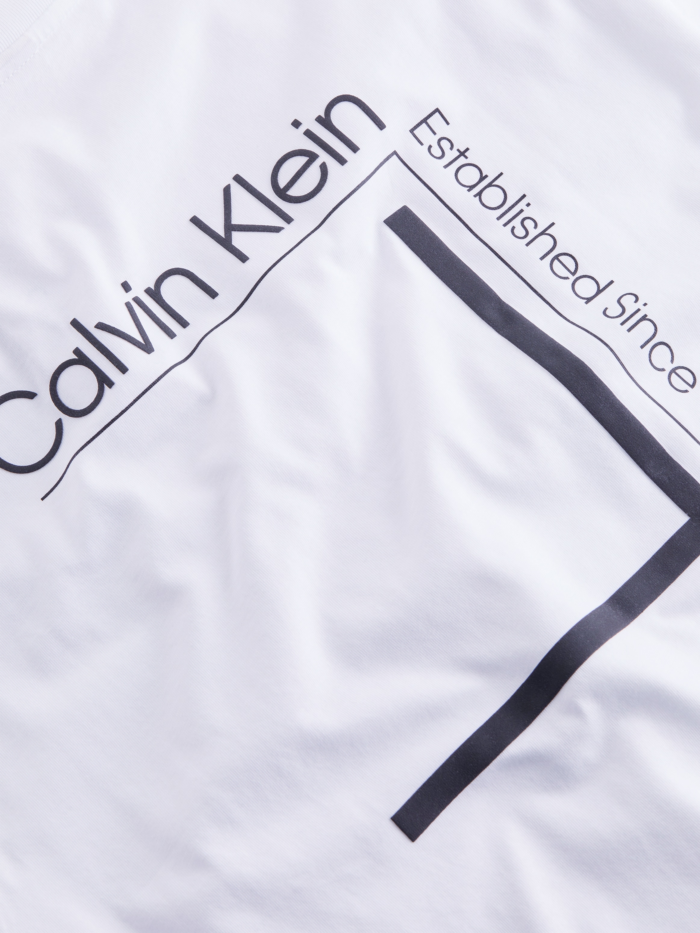 Calvin Klein T-Shirt »CP-LINEAR BOX LOGO T-SHIRT«, in Unifarbe