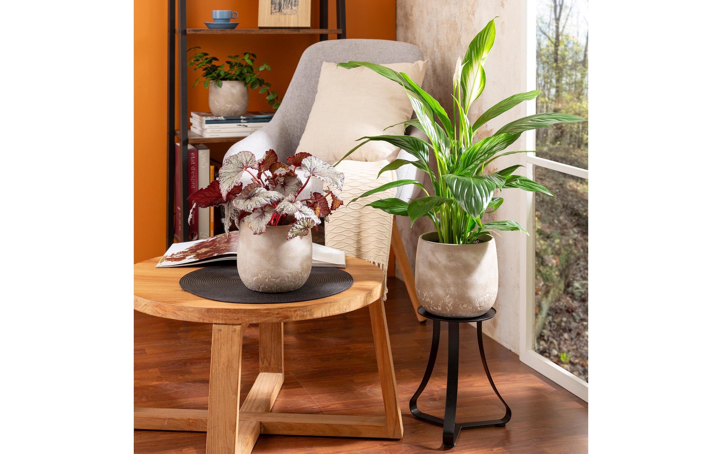 Scheurich Blumentopf »Dune 6,1 l«