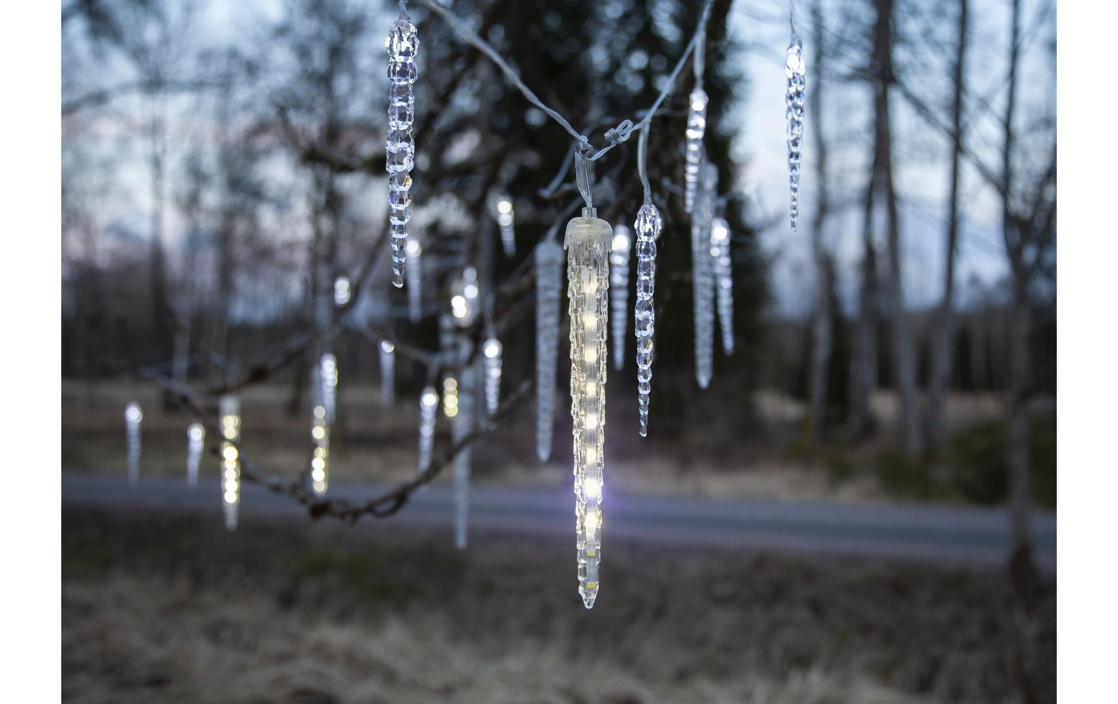 Parforce Traditional Hunting Rideau lumineux LED »Trading LED-Lichtervorhang« 24 cuis-flammig