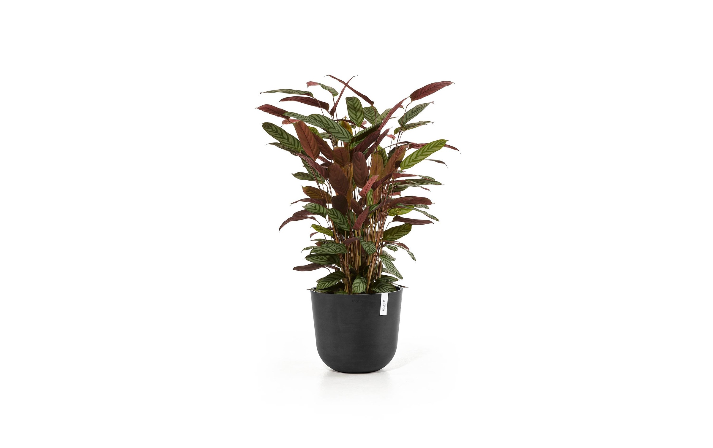 ECOPOTS Blumentopf »Oslo 45 Dunkel«