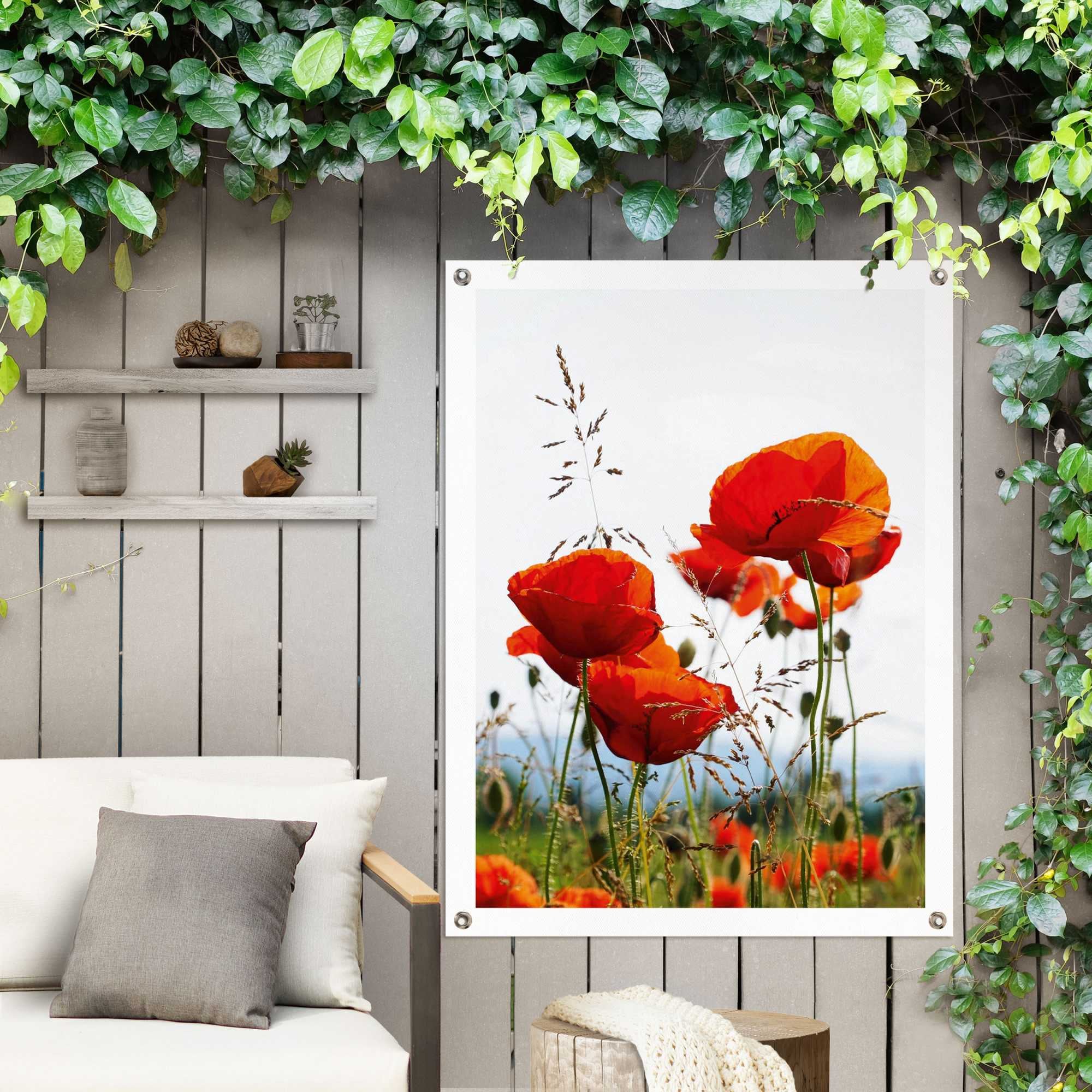 Reinders! Poster »Mohnblumen«, Outdoor für Garten oder Balkon