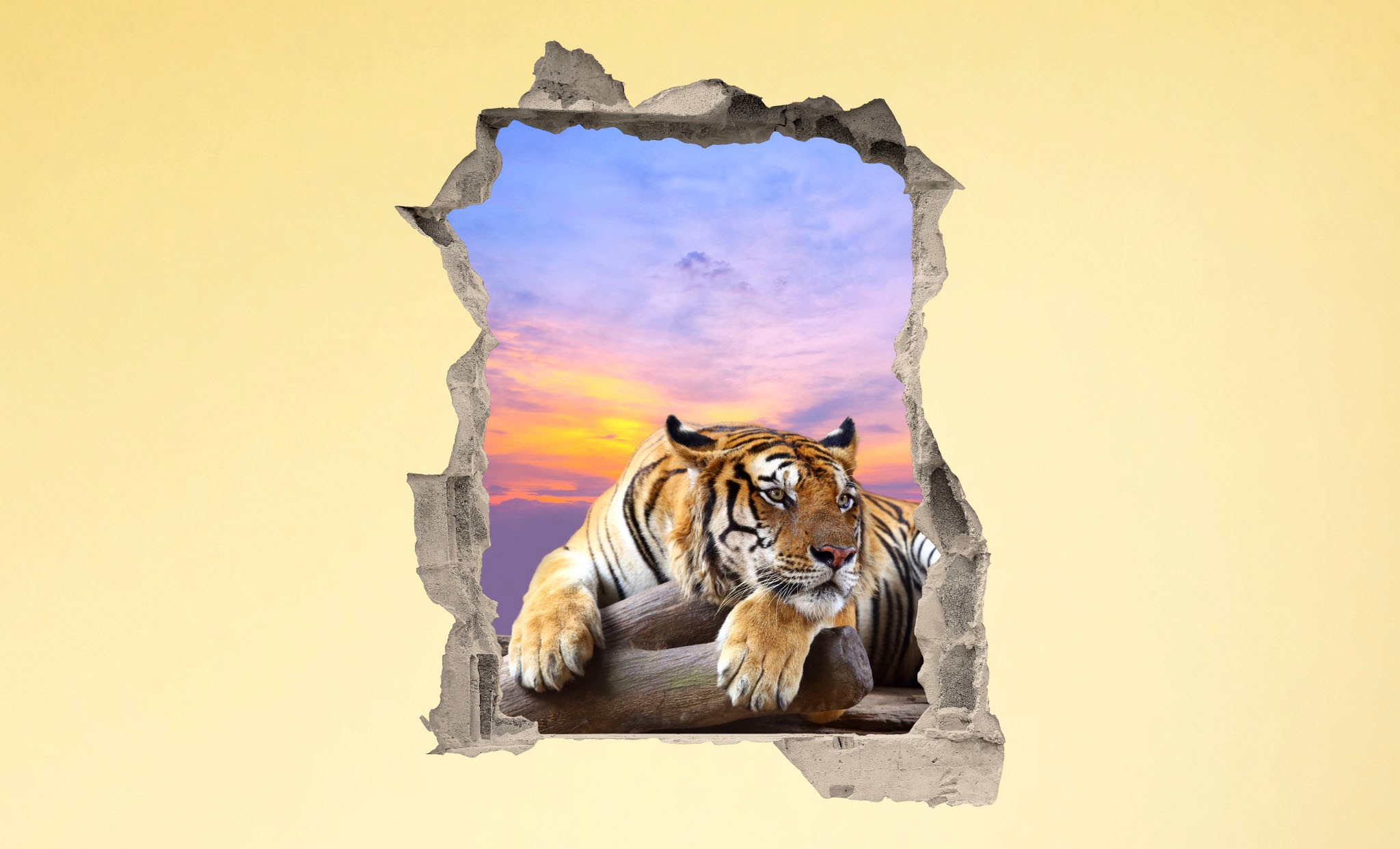 Image of Conni Oberkircher´s Wandsticker »3 D Sticker Beton Tiger Resting - entspannter Tiger«, Wildtiere bei Ackermann Versand Schweiz