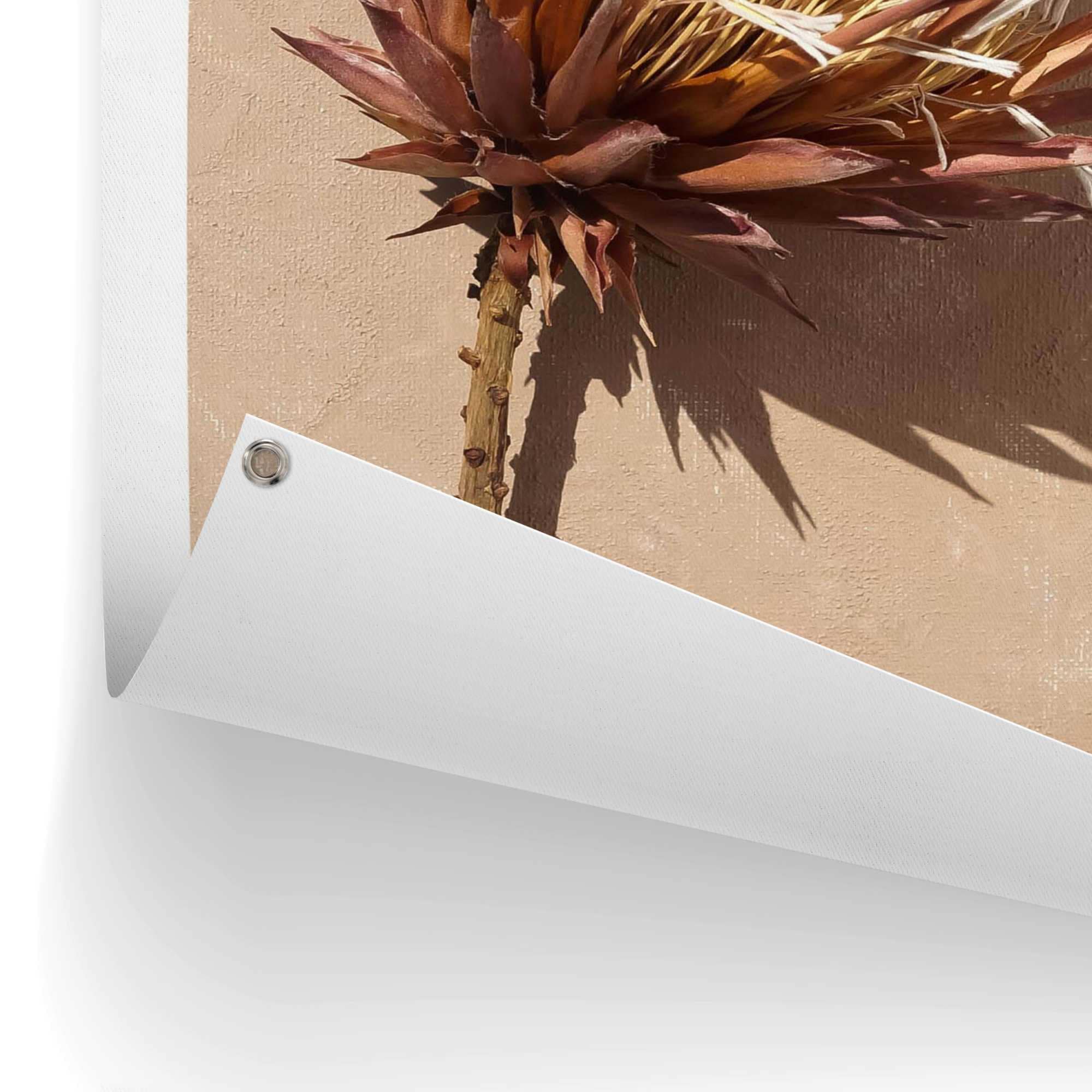 Reinders! Poster »Schattenblume« Garten - Trockenblumen - Exotisch - Braun - Leinwand - Blumen