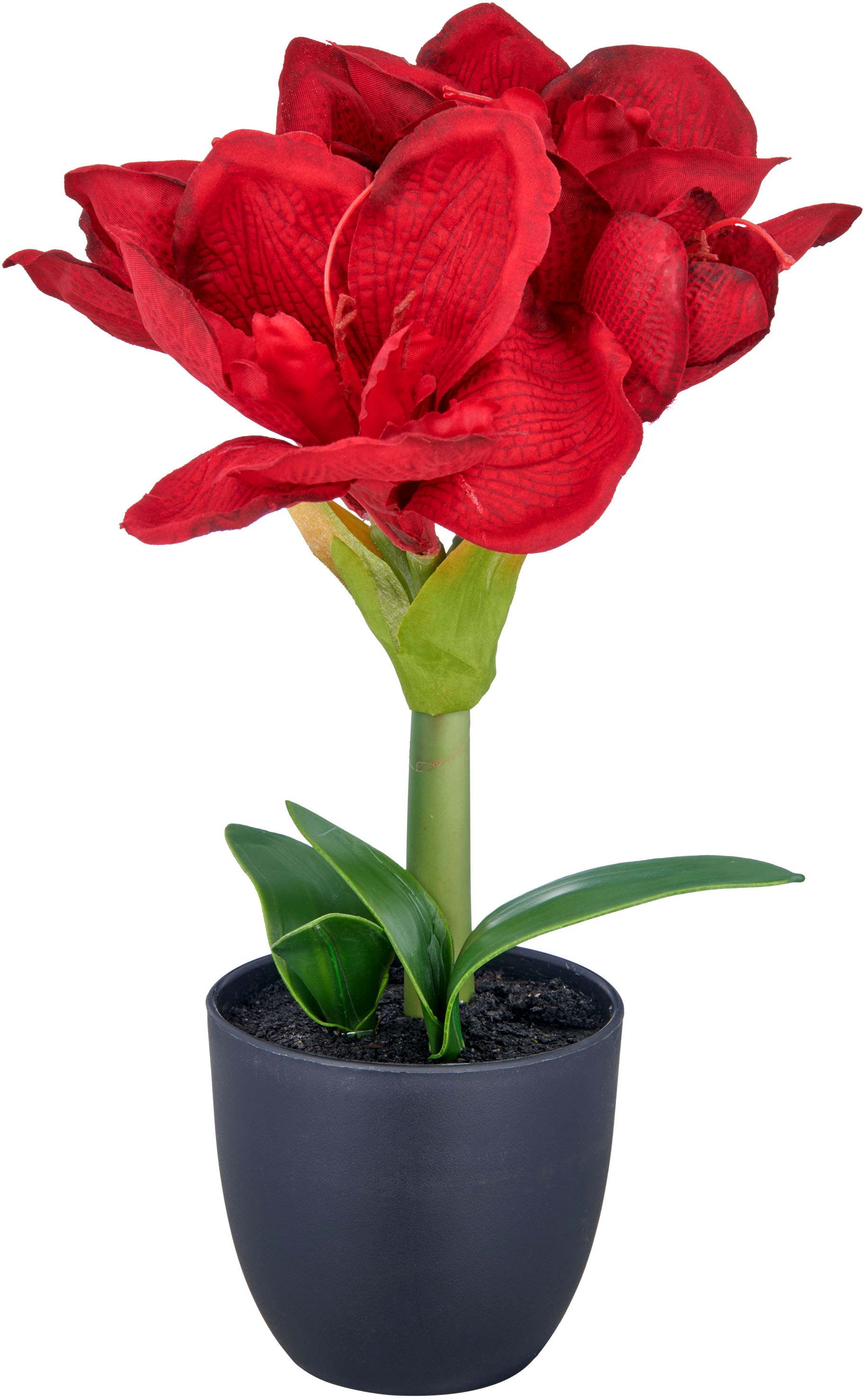 Creativ green Kunstblume »Amaryllis« mit traumhaft schöner Blüte
