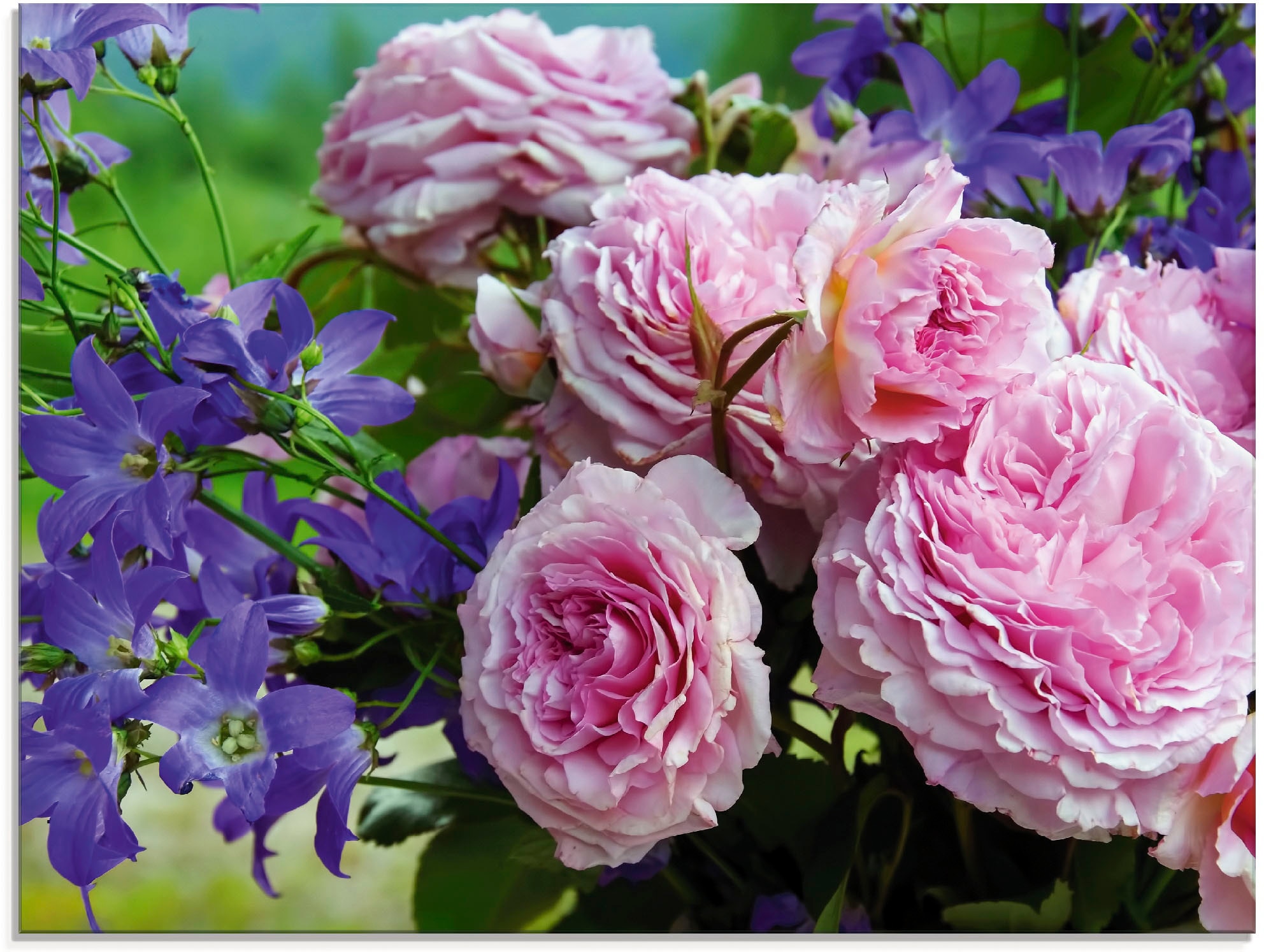 Image of Artland Glasbild "Rosen und Glockenblumen" Blumen 1 Stk. tlg. in verschiedenen Grössen