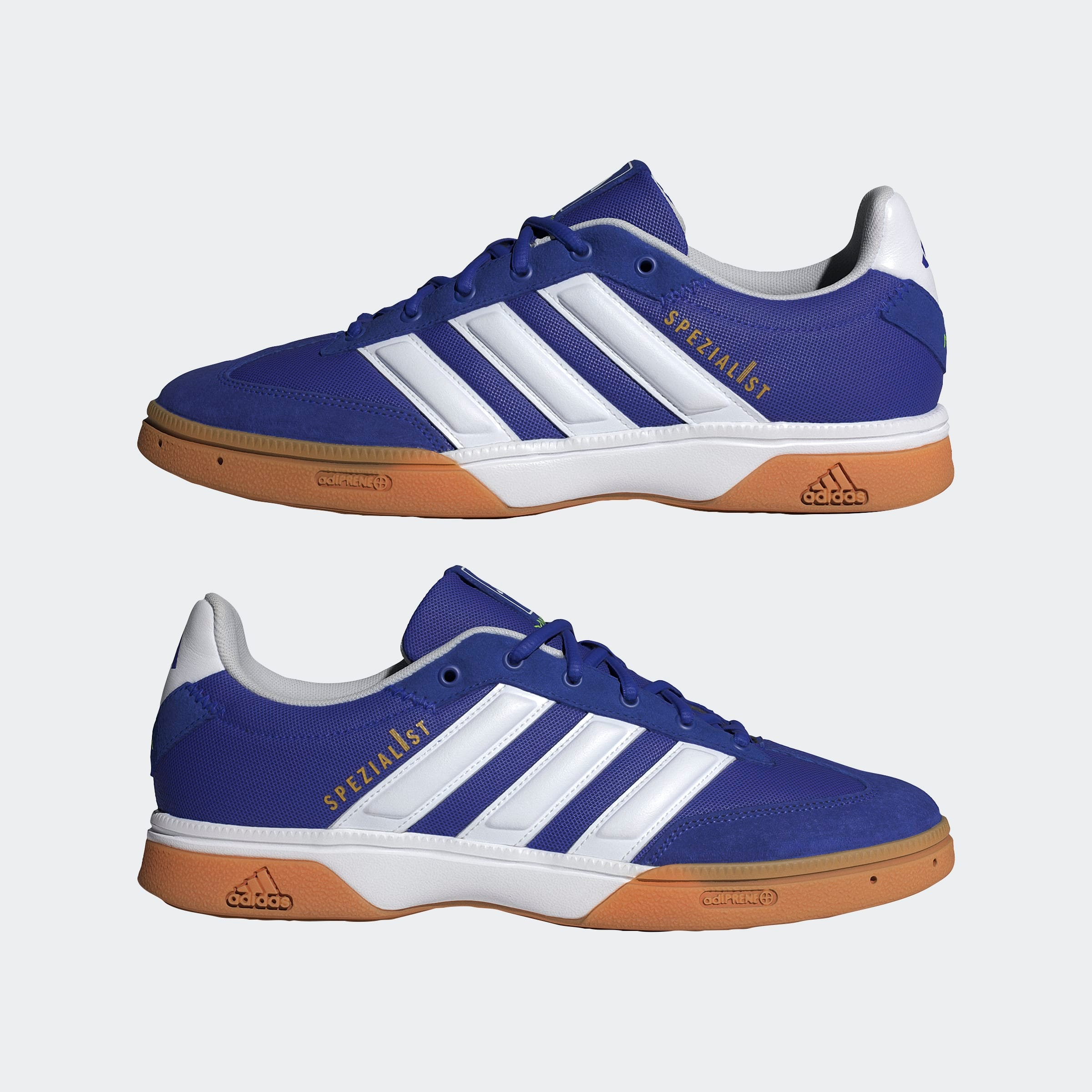 adidas Performance Chaussures d'intérieur »SPEZIALIST INDOOR«  geeignet für jeden Hallensport