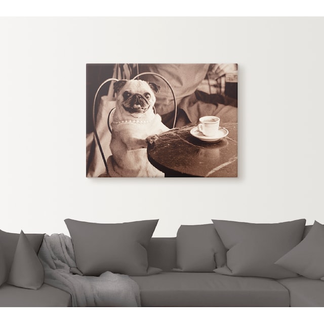 Artland Wandbild »Kaffee Mops«, Haustiere, (1 St.), als Leinwandbild,  Wandaufkleber oder Poster in versch. Grössen günstig kaufen